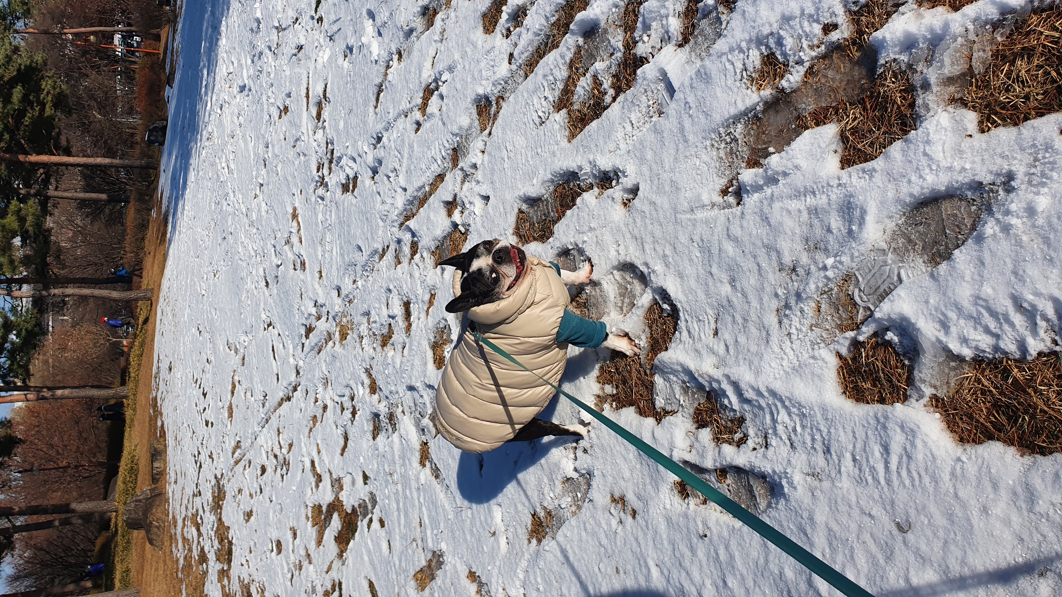 보테/봄이는 잘 지내고 있어요!!!