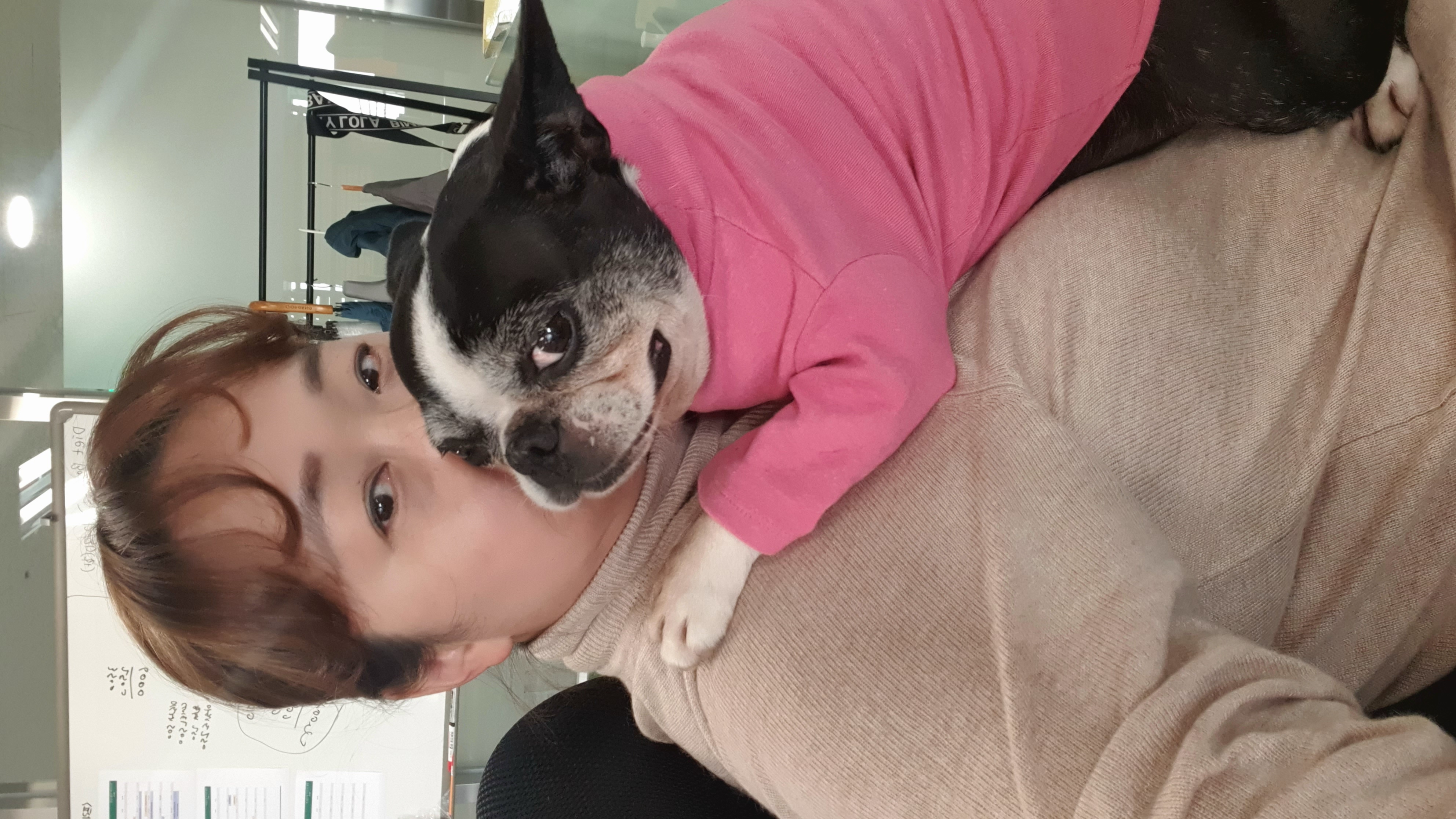 보테/봄이는 잘 지내고 있어요!!!