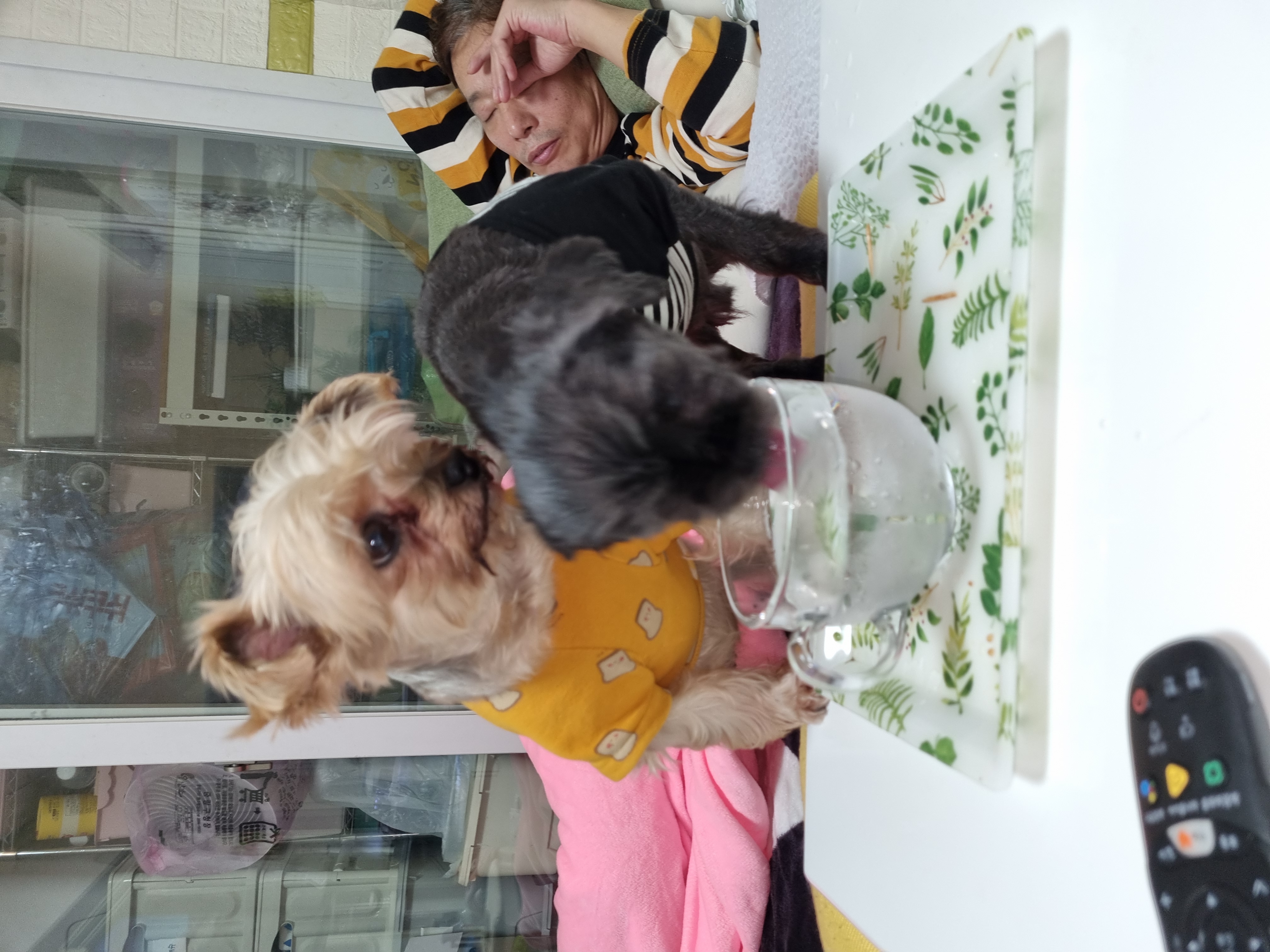 정하프&정소고 올해도 잘보내고 있어요~~