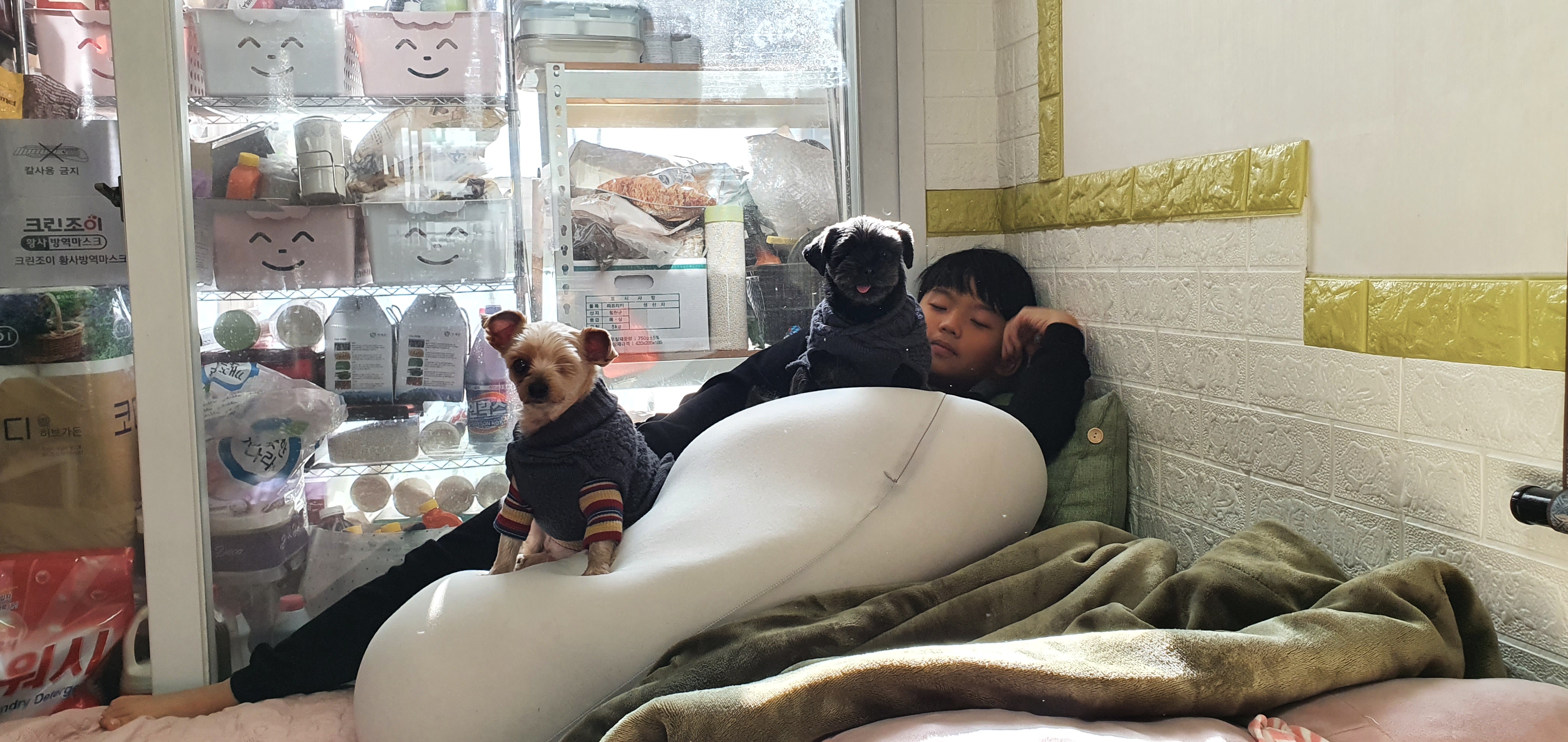 정하프&정소고 올해도 잘보내고 있어요~~