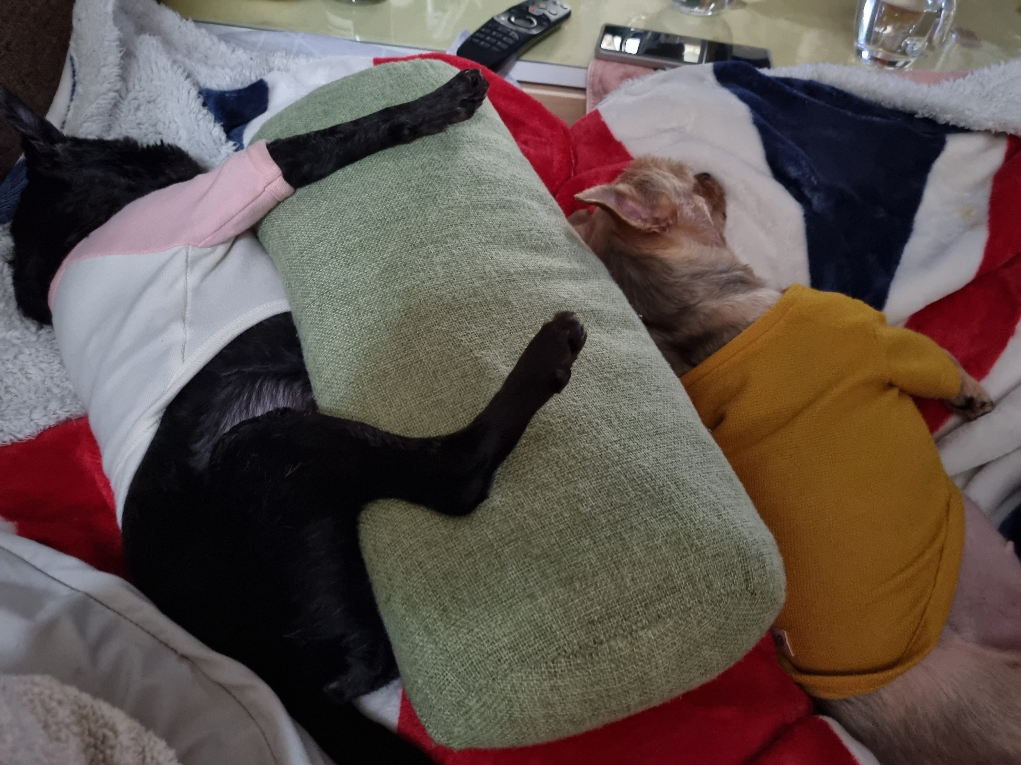 정하프&정소고 올해도 잘보내고 있어요~~