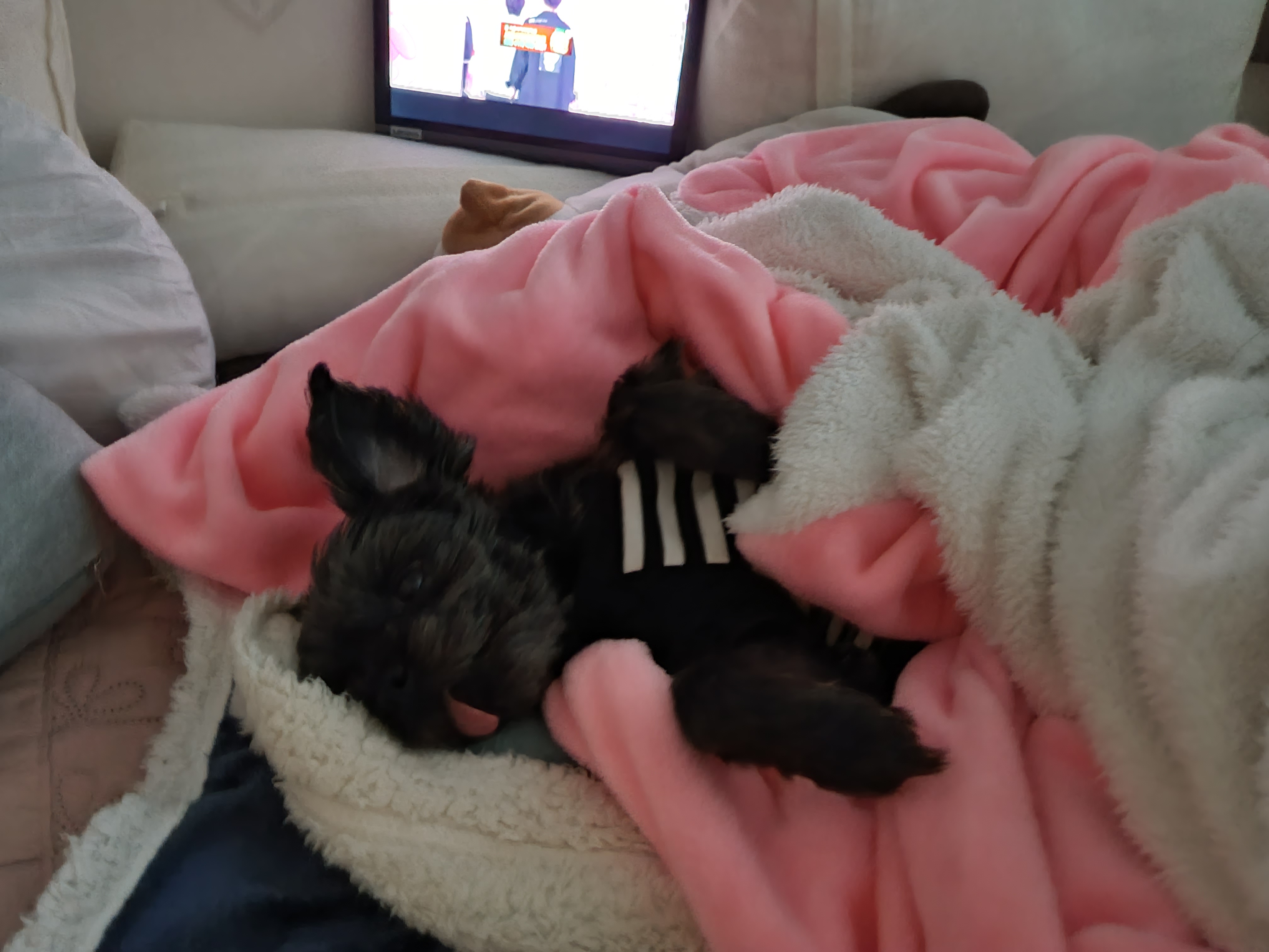 정하프&정소고 올해도 잘보내고 있어요~~