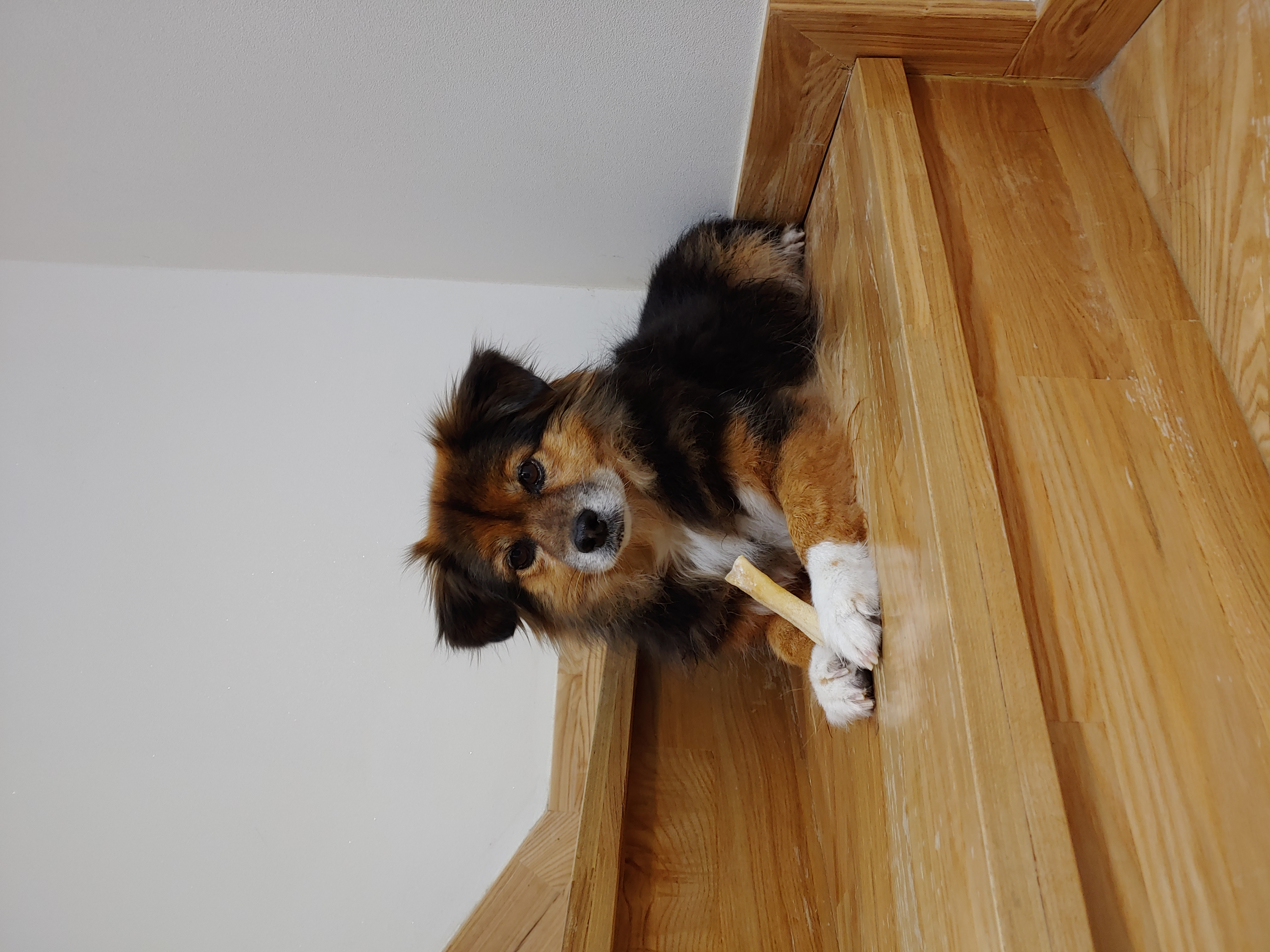 정왕이 인사드려요♥