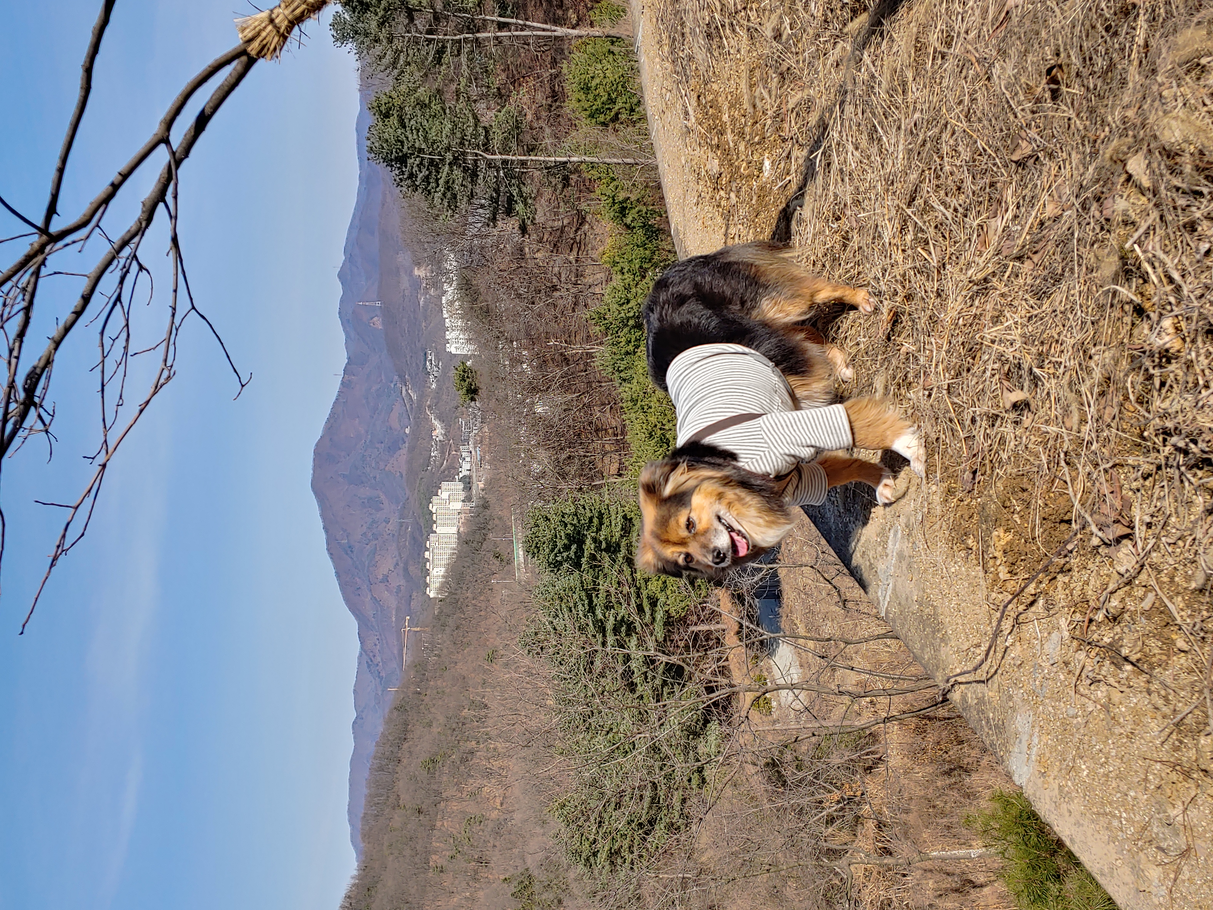 정왕이 인사드려요♥