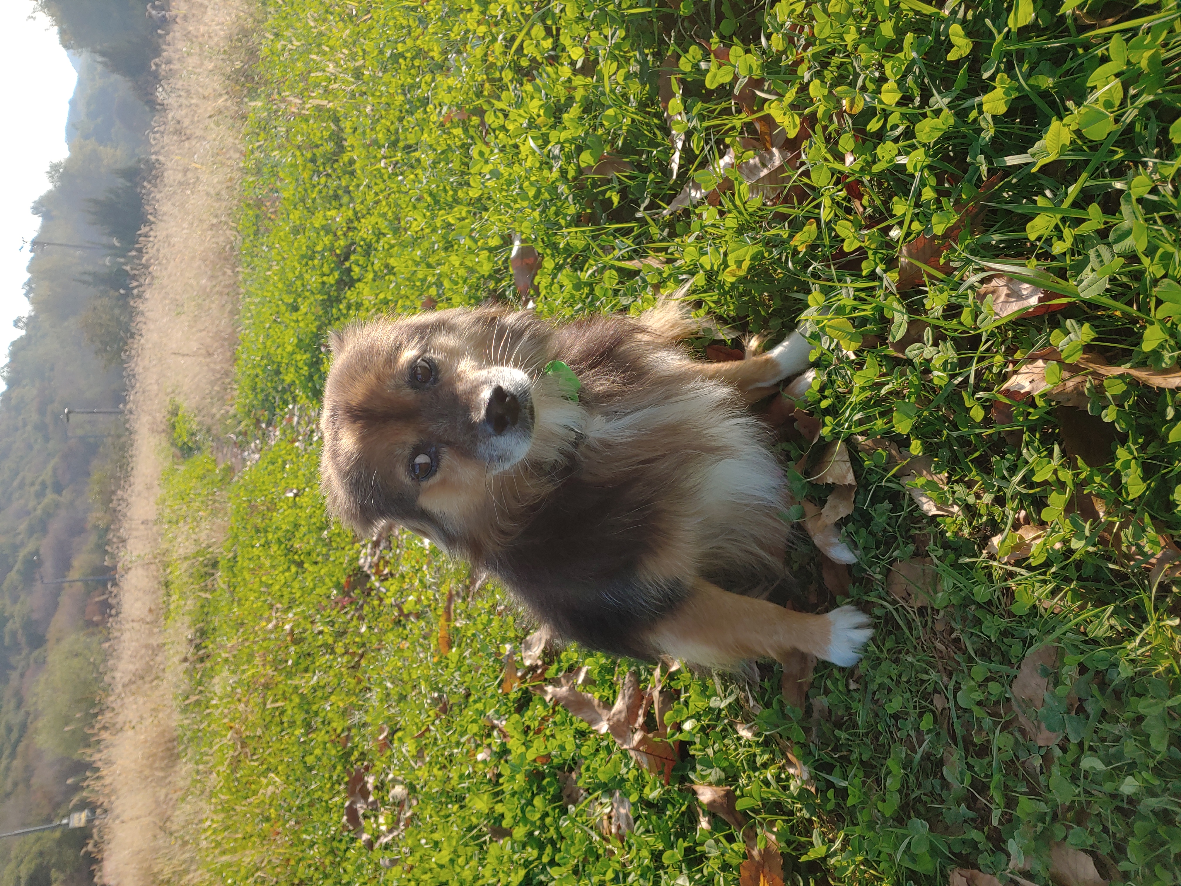 정왕이 인사드려요♥