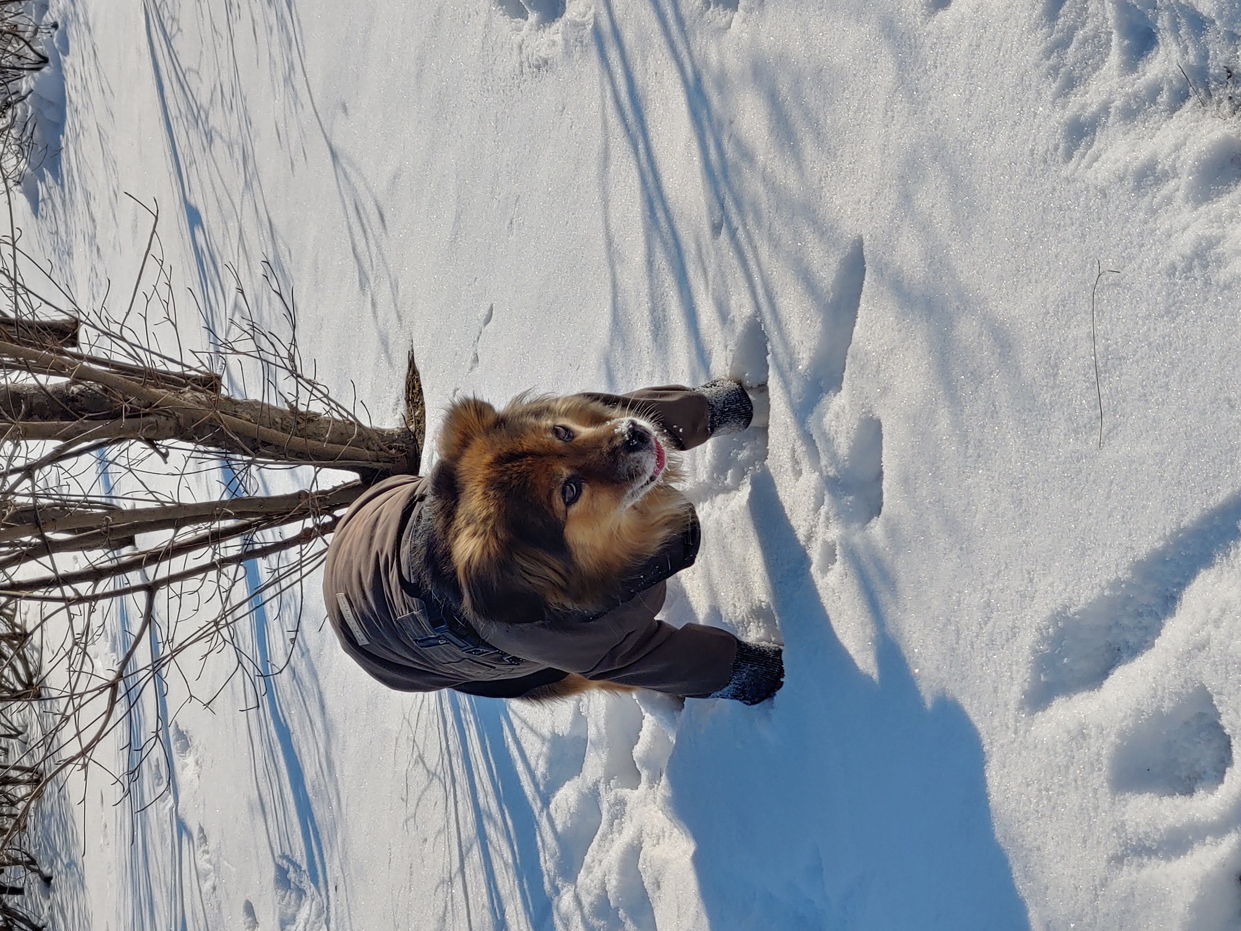 정왕이 인사드려요♥