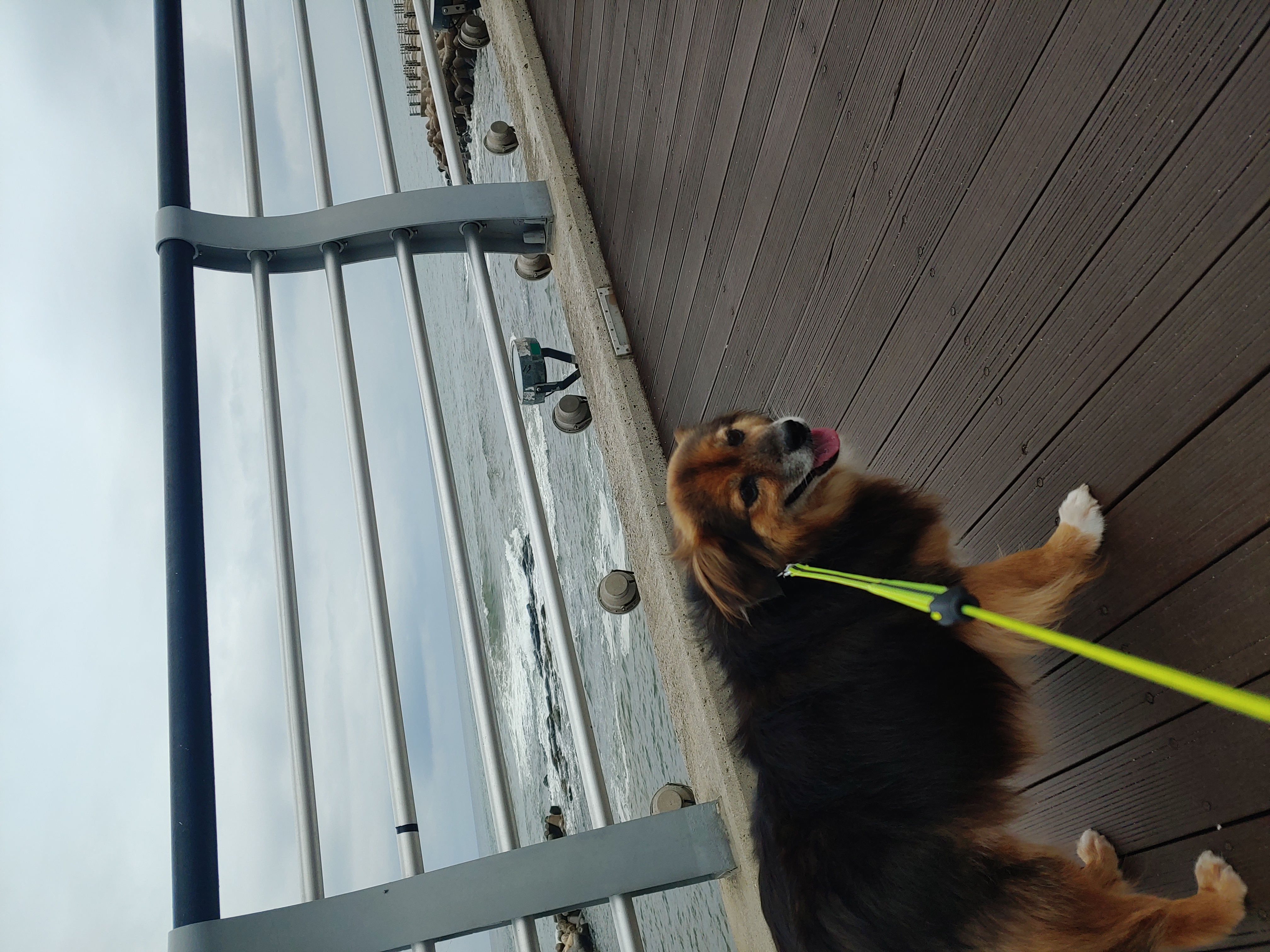 정왕이 인사드려요♥