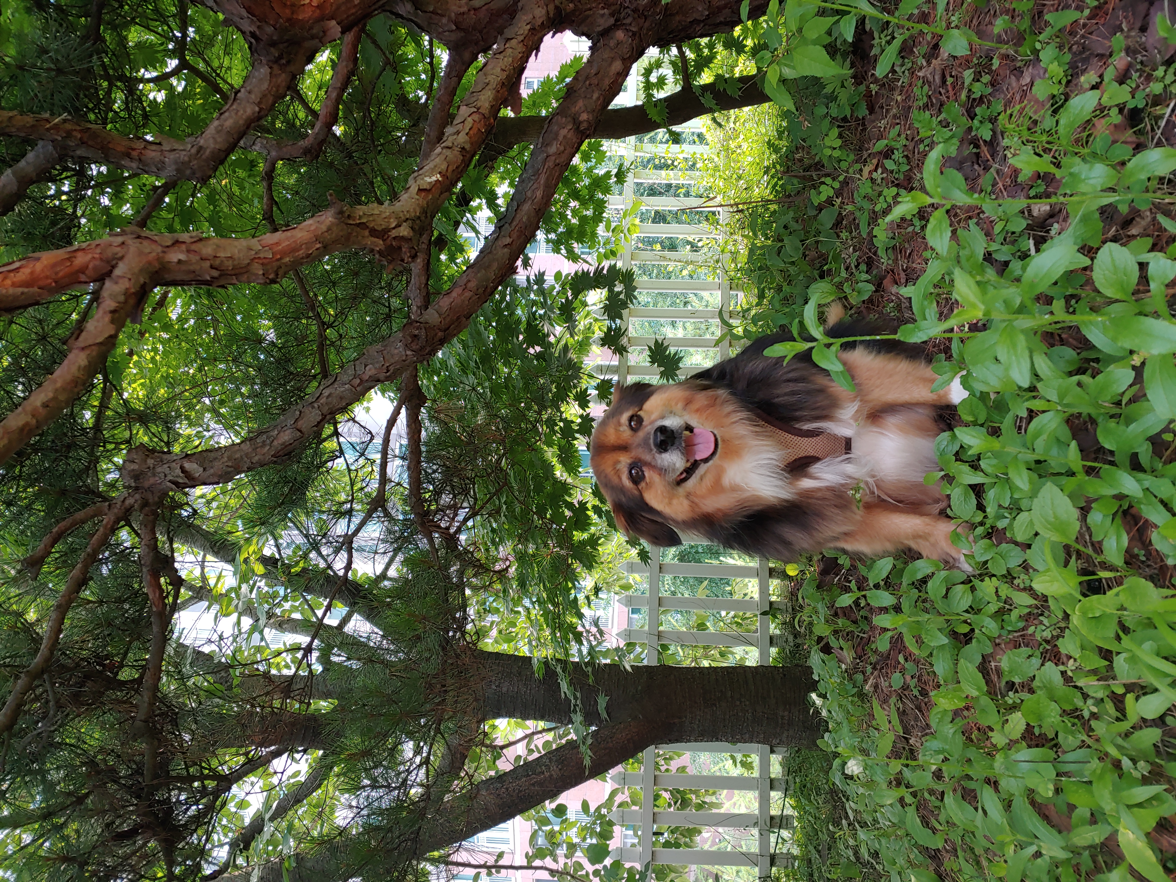 정왕이 인사드려요♥