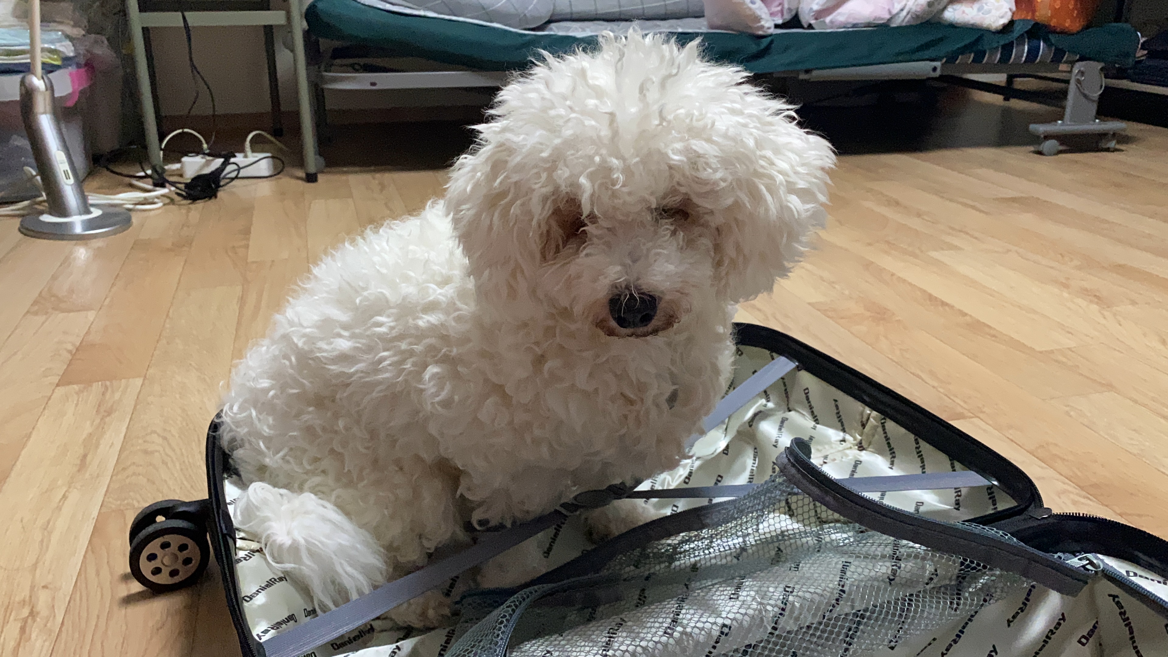 윤랑(쟈스민) 이삿날