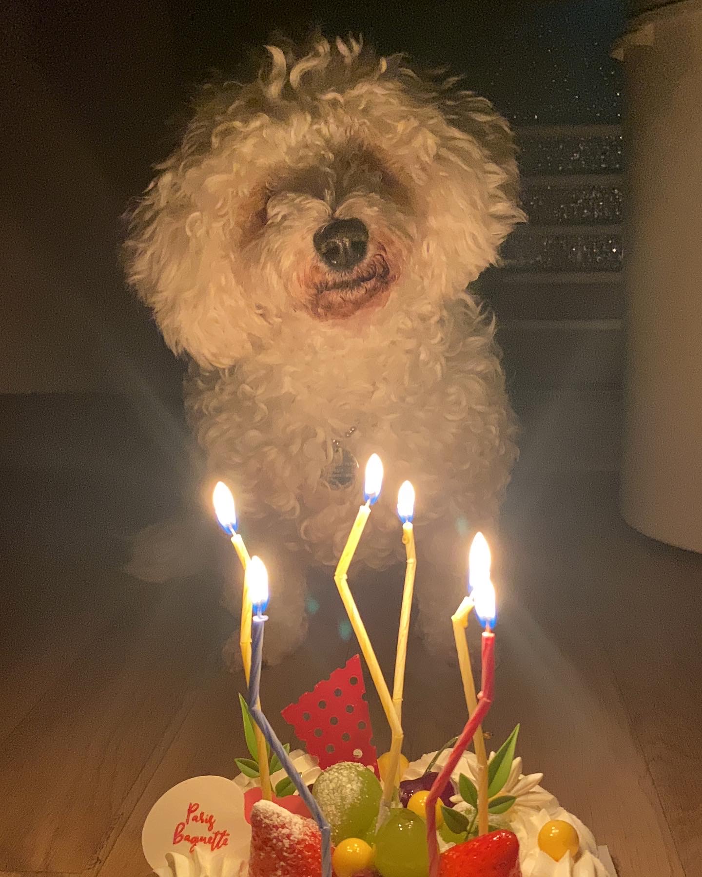 윤랑(쟈스민) 이삿날