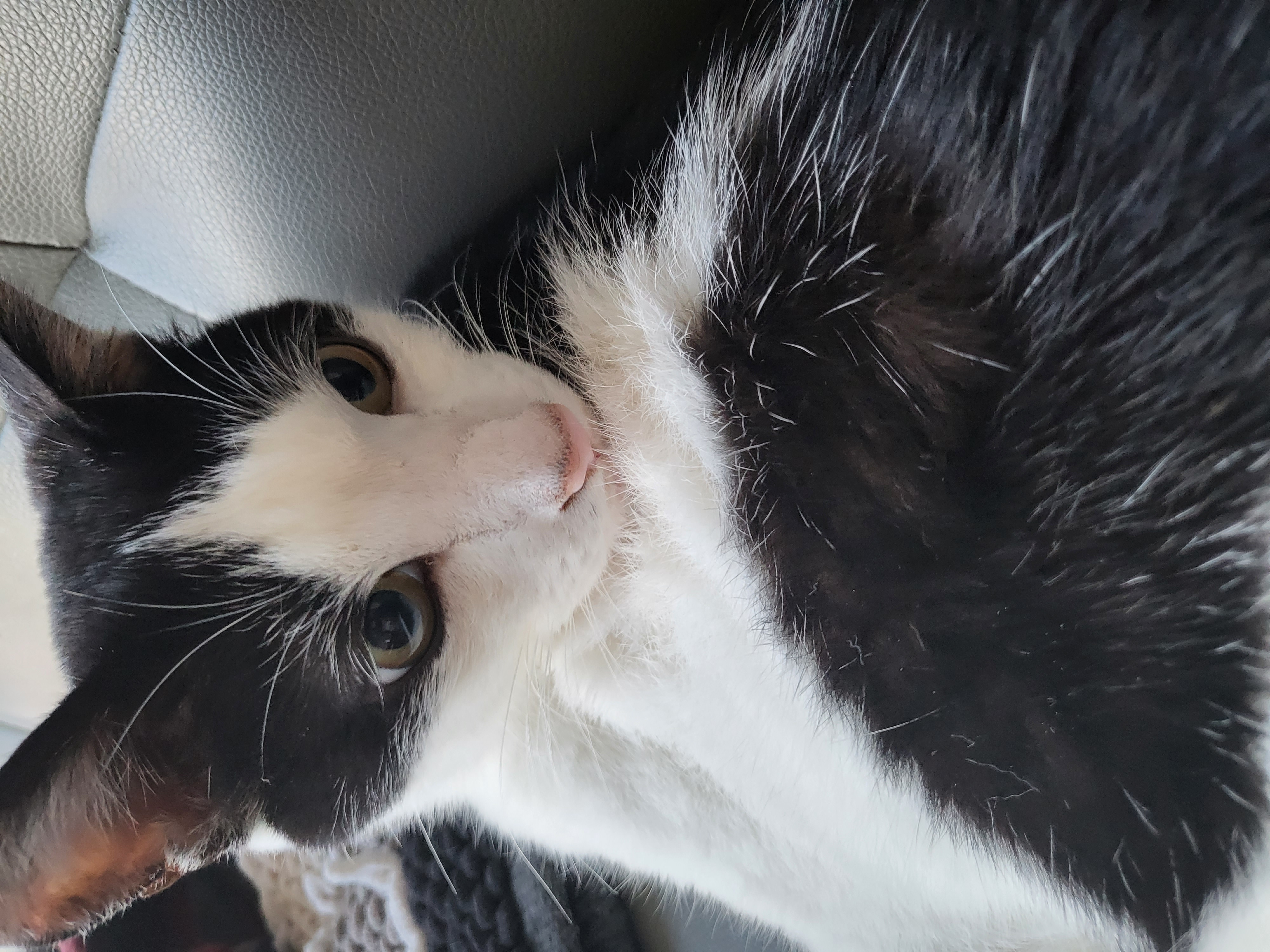 새싹이 12월 일상이예요♡