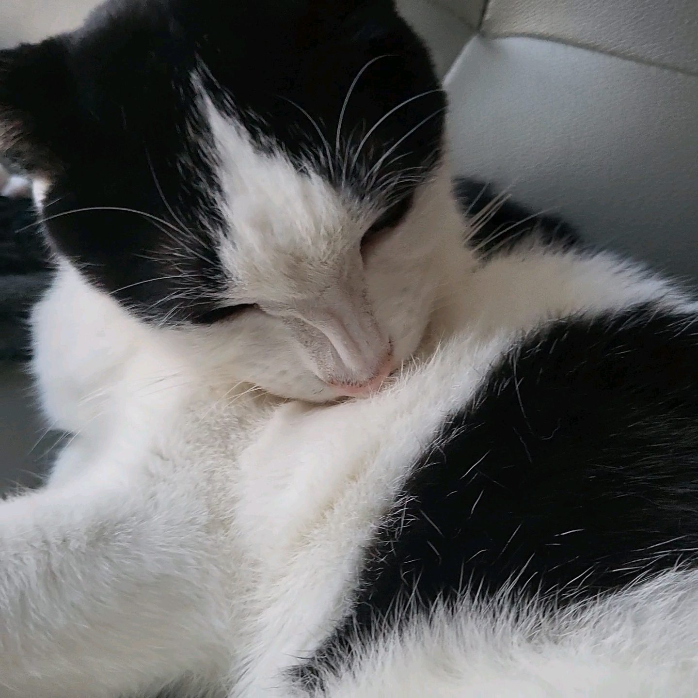 새싹이 12월 일상이예요♡