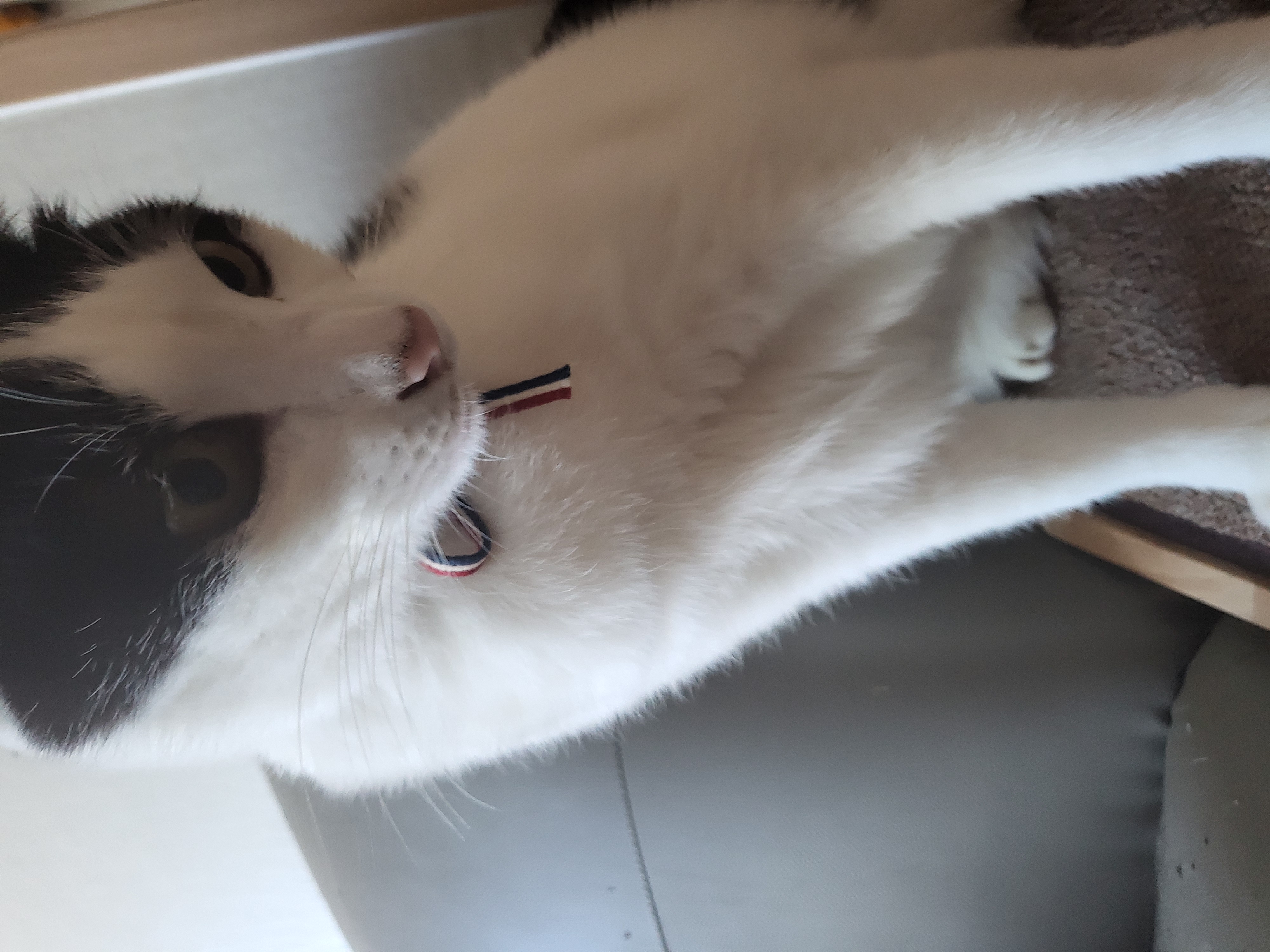 새싹이 12월 일상이예요♡