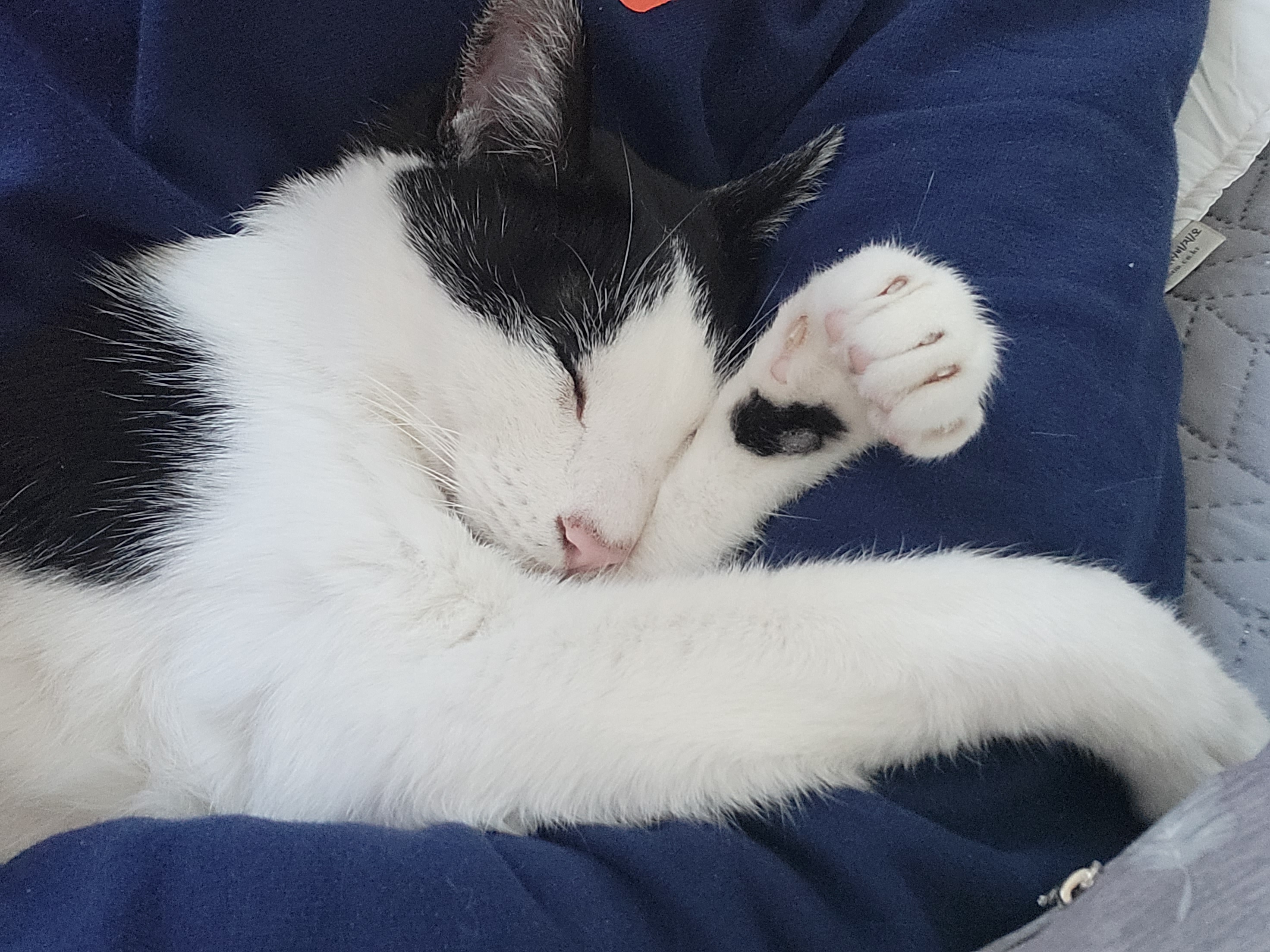 새싹이 12월 일상이예요♡