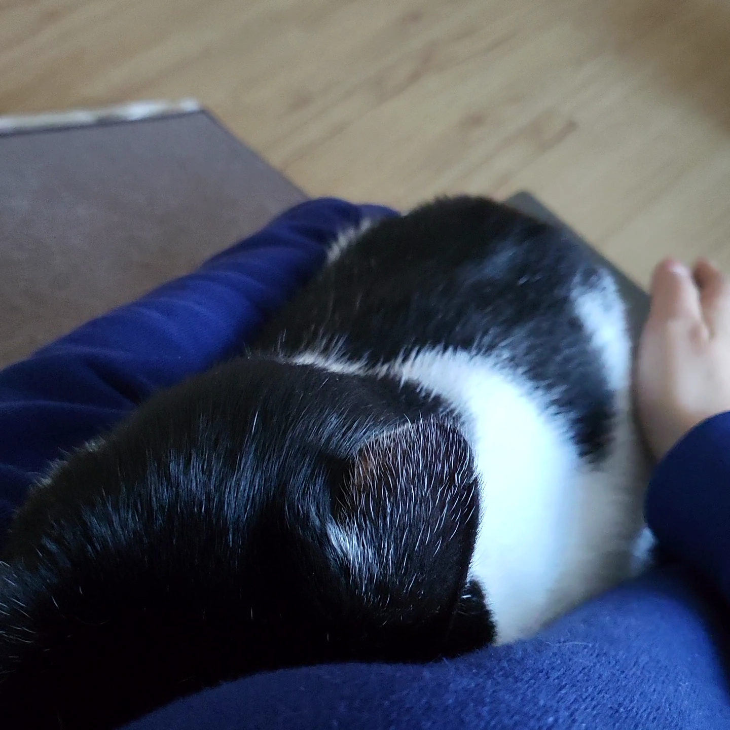 새싹이 12월 일상이예요♡