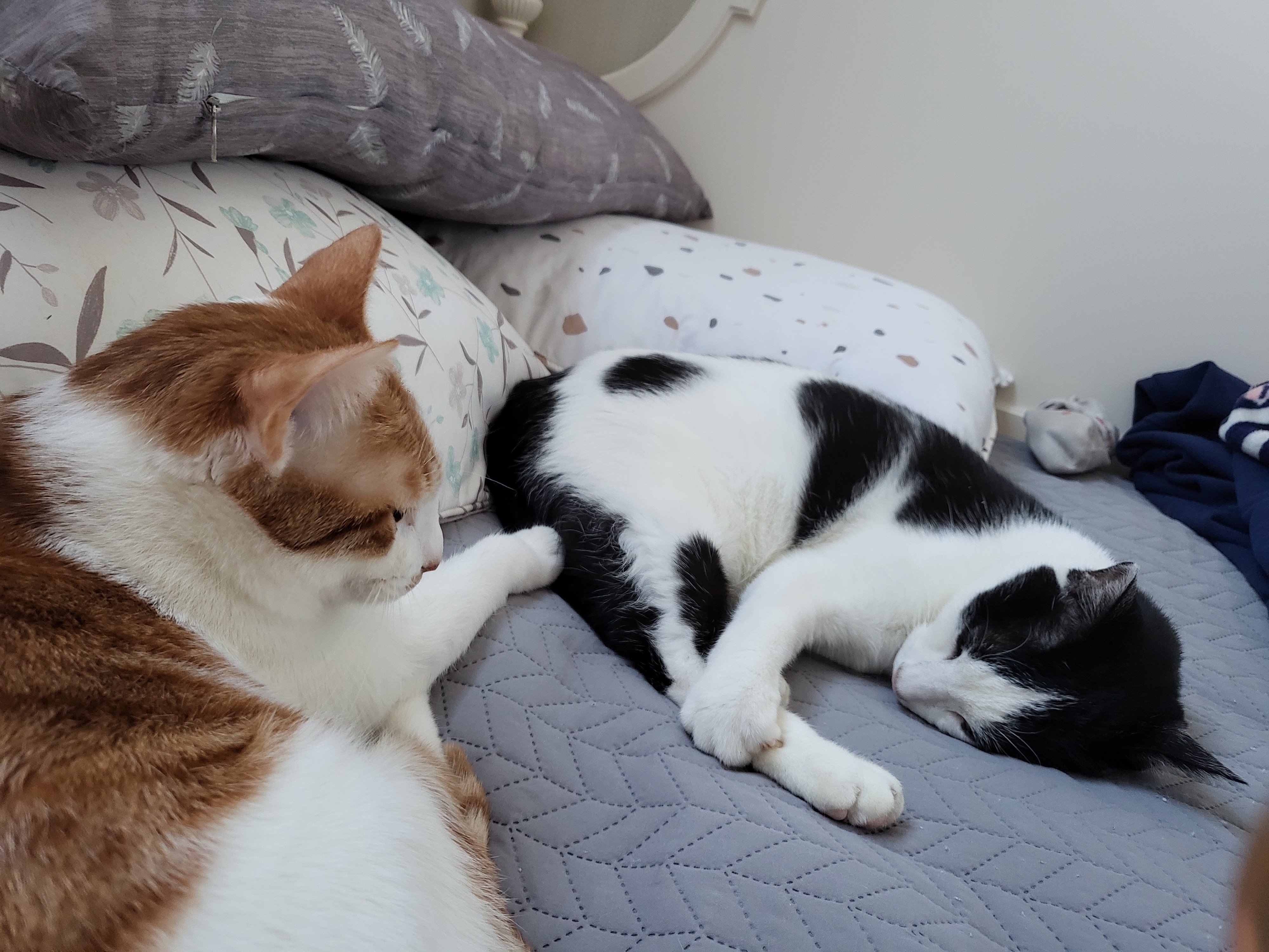 새싹이 12월 일상이예요♡