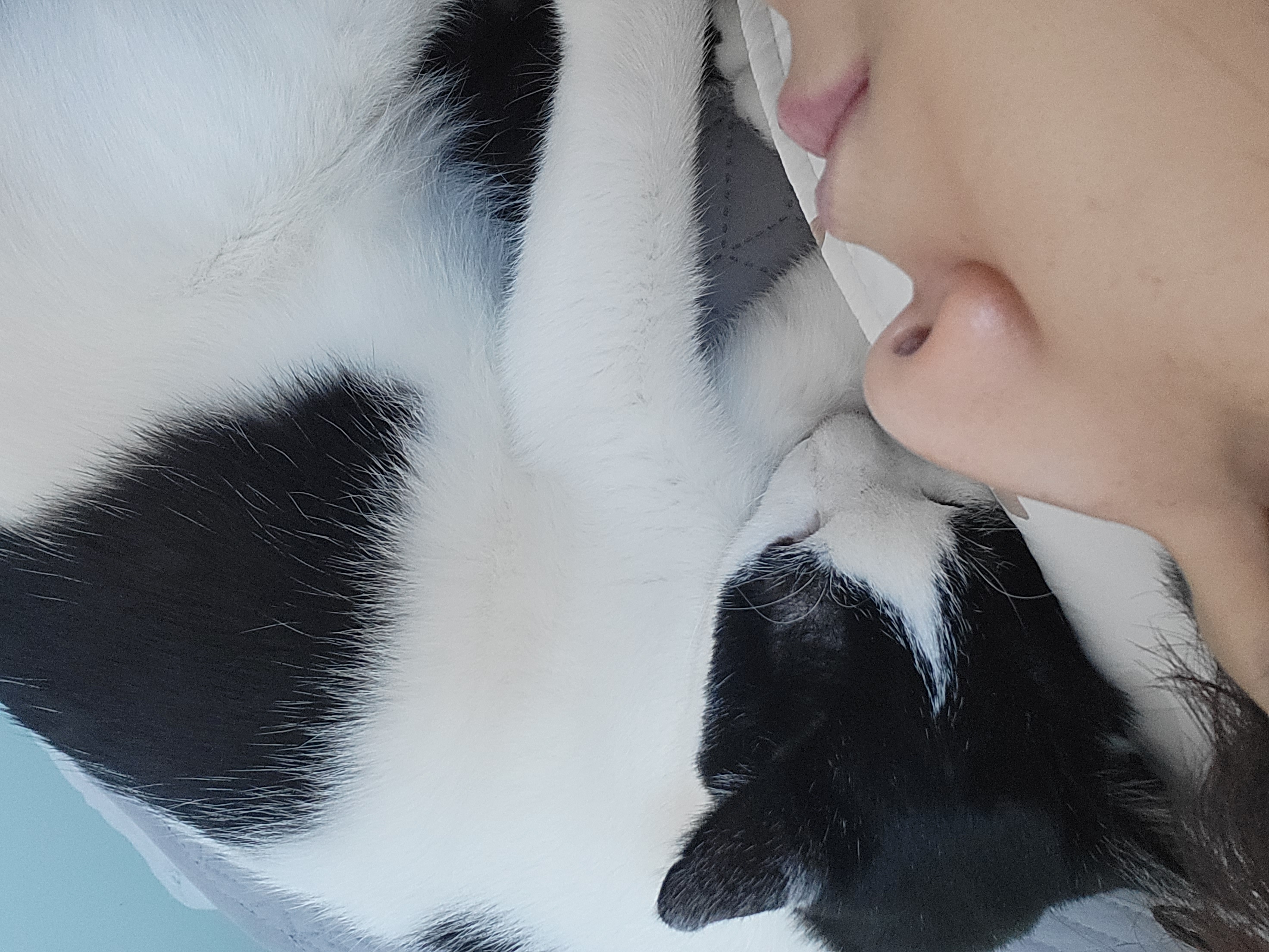 새싹이 12월 일상이예요♡