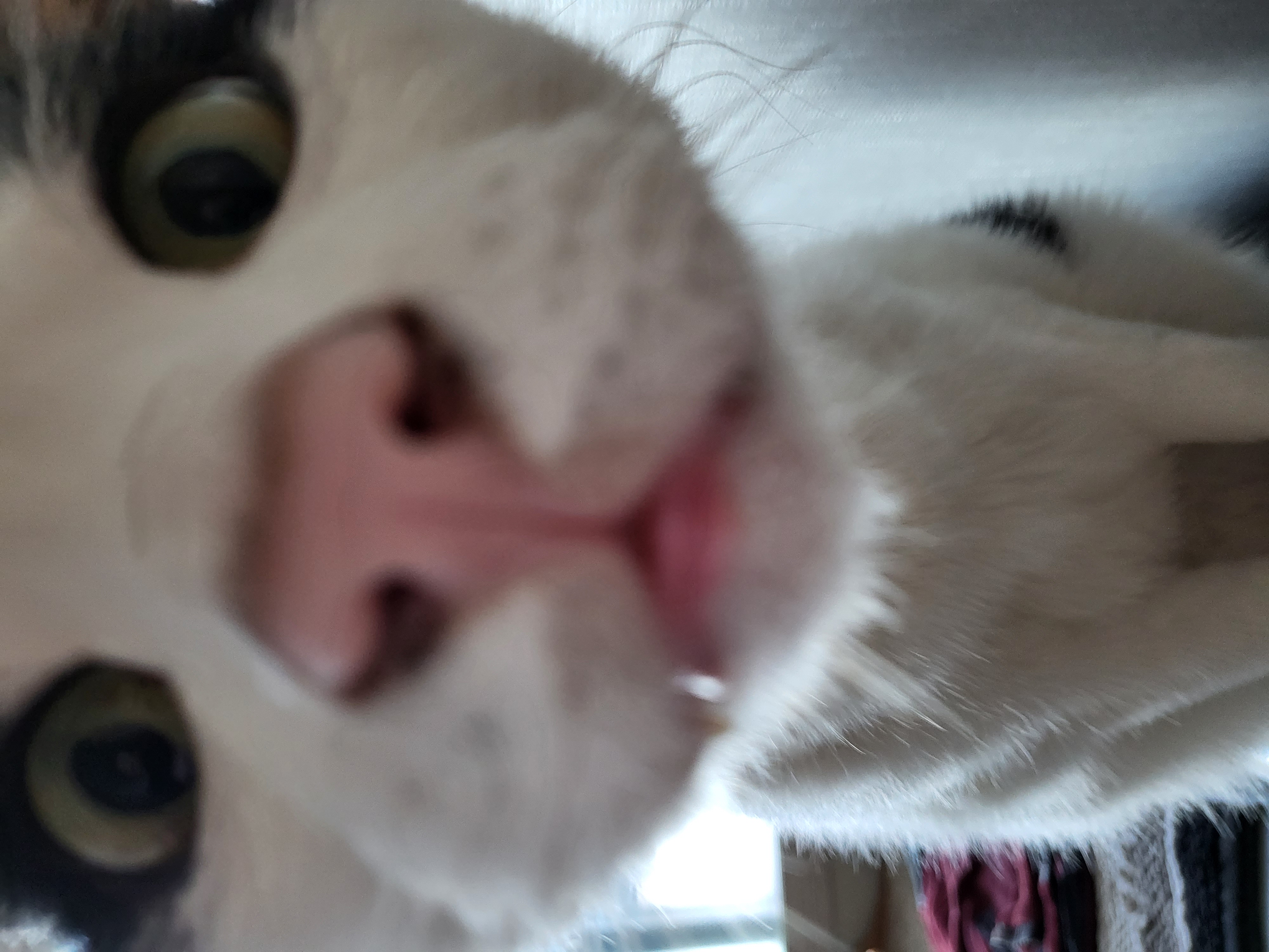 새싹이 12월 일상이예요♡