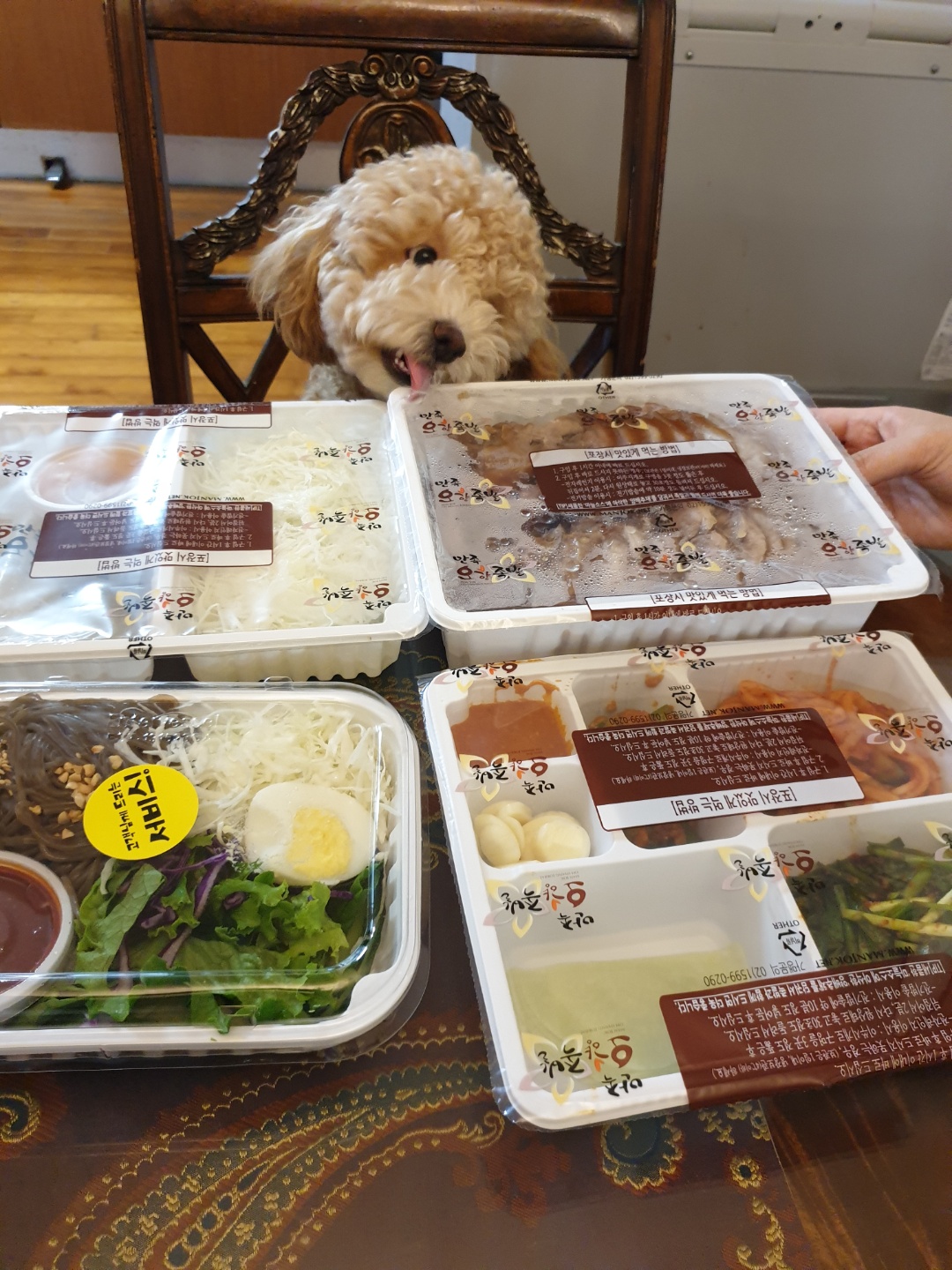 랑이(곤지암 해사) 10개월차 근황입니다