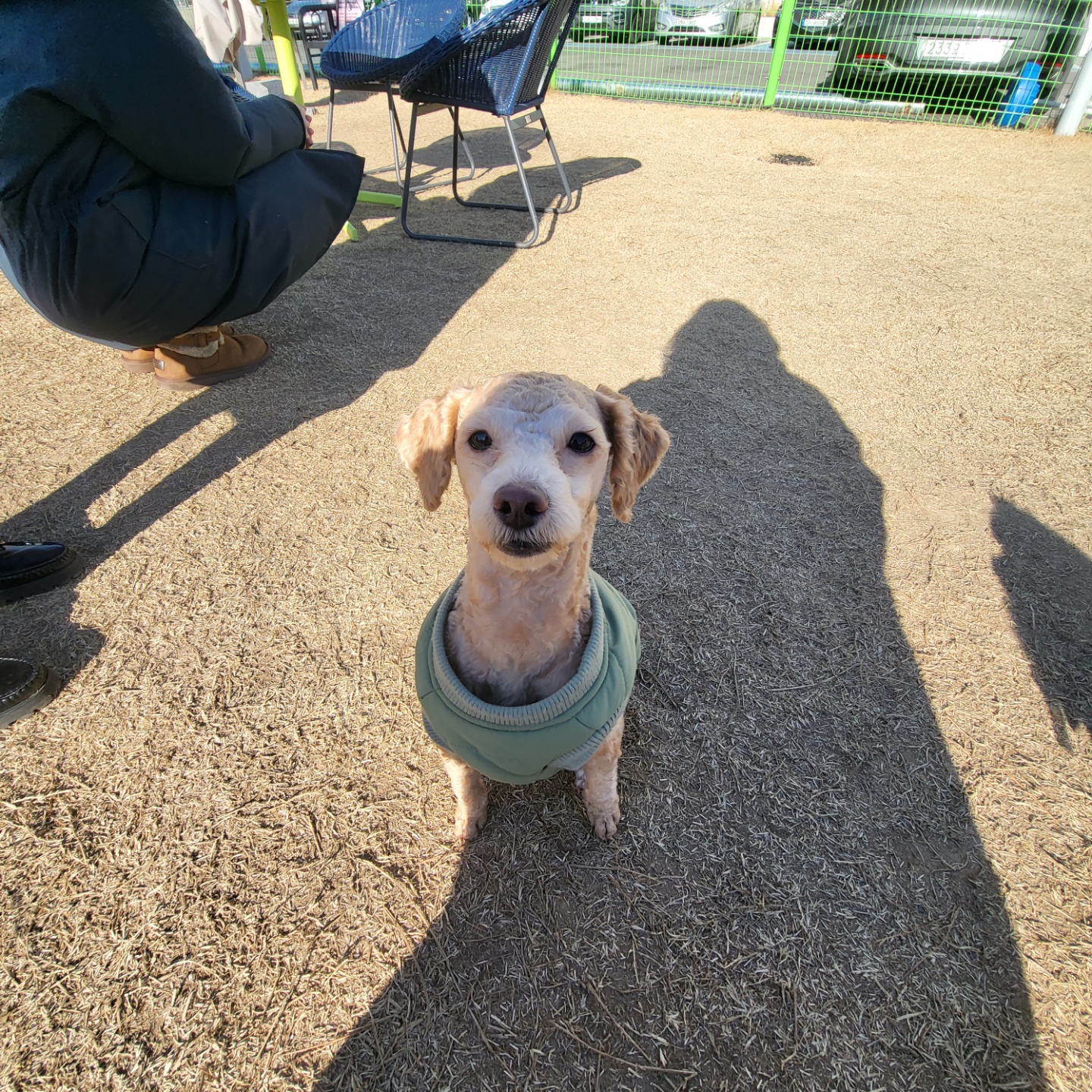 랑이(곤지암 해사) 10개월차 근황입니다