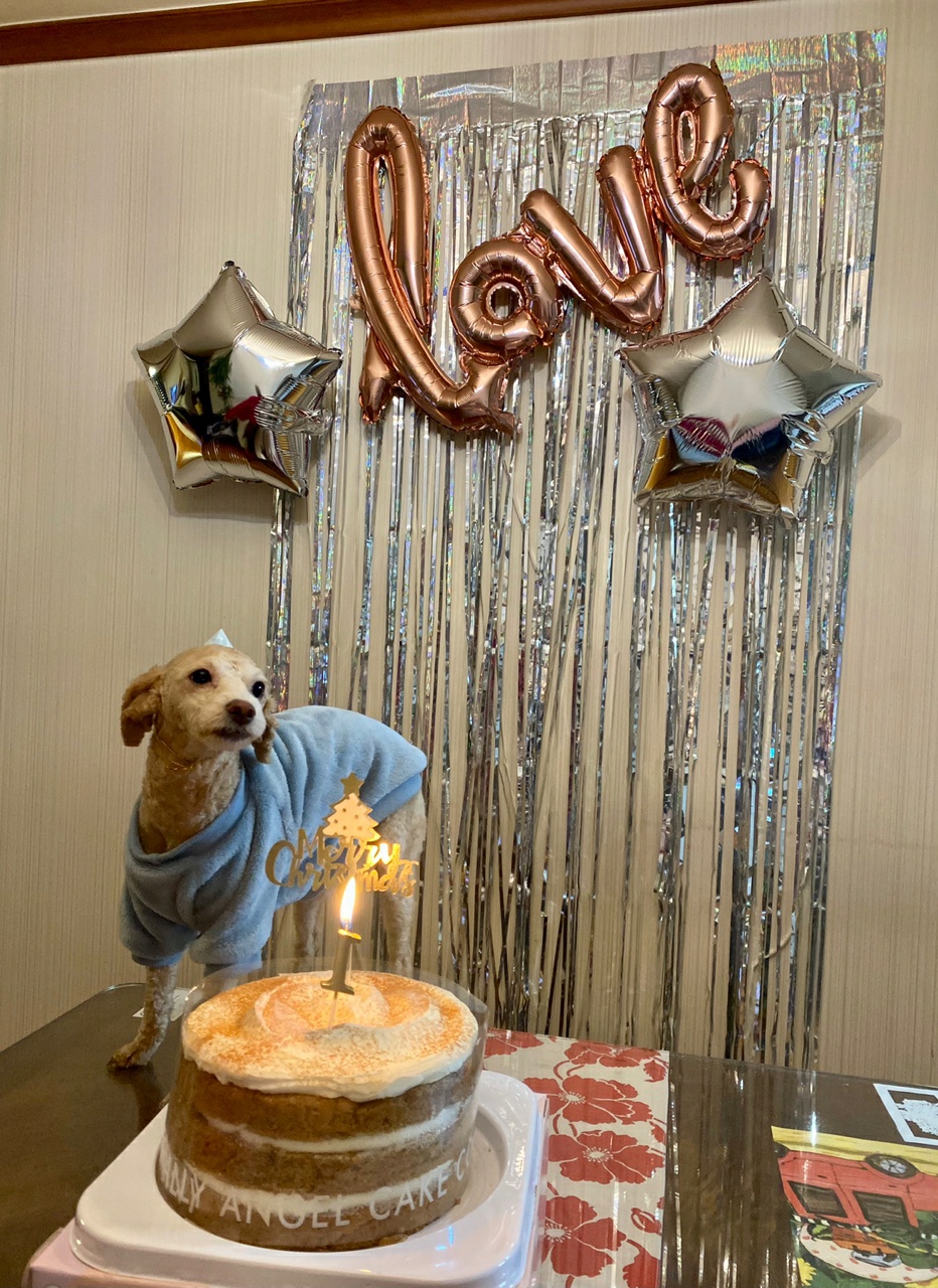 랑이(곤지암 해사) 10개월차 근황입니다