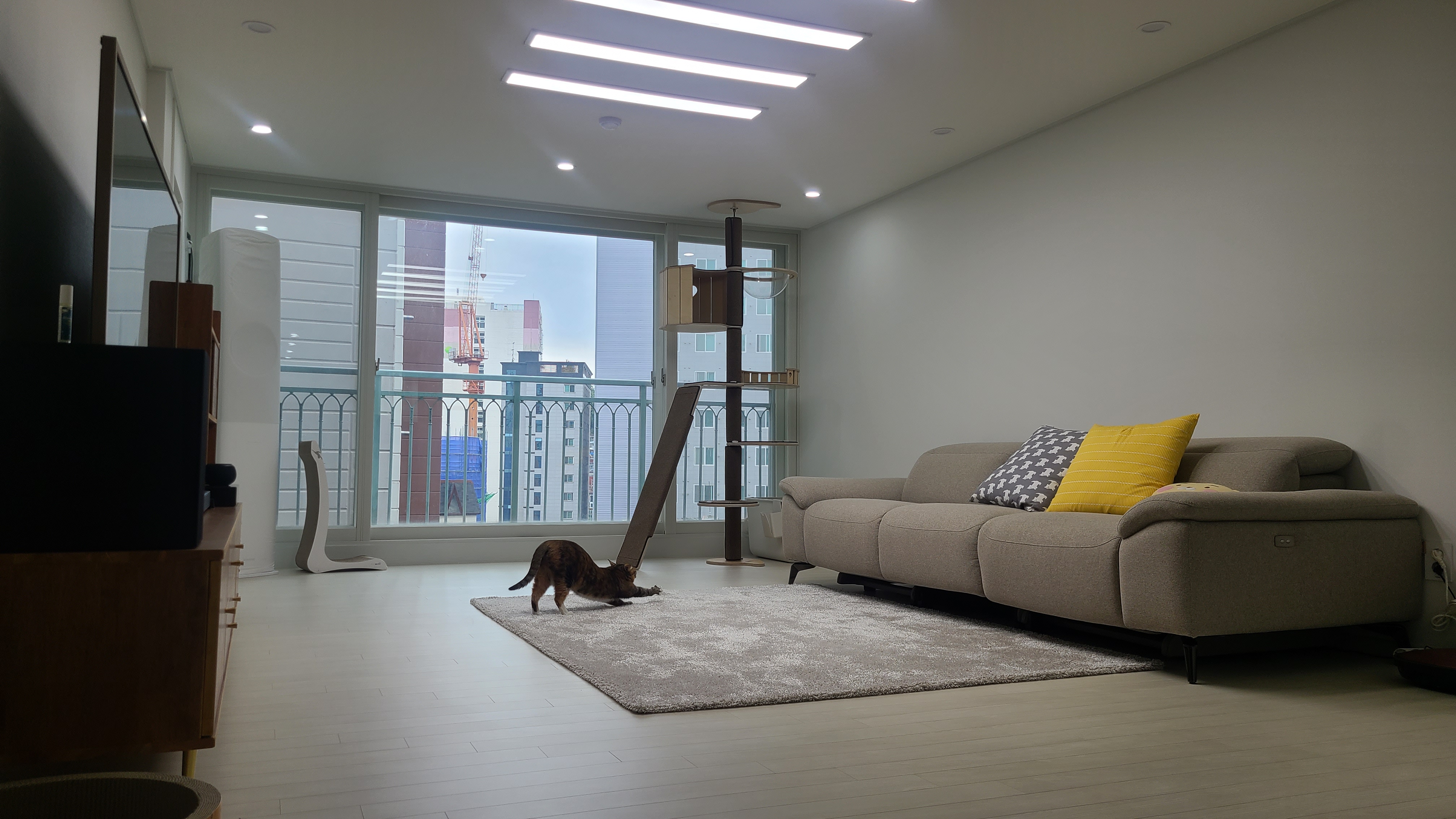 너로에게 새 가족이 생겼습니다!