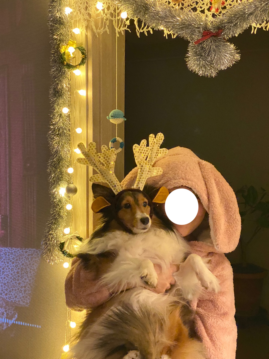 보미(곤지암 샐리)가 새해인사드려요~