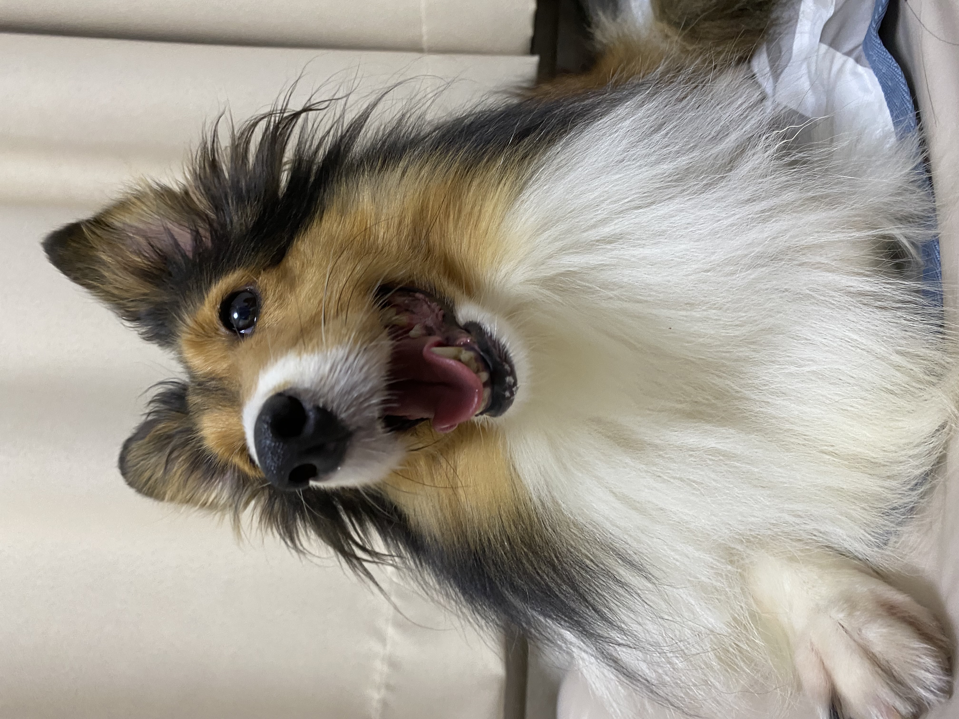 보미(곤지암 샐리)가 새해인사드려요~