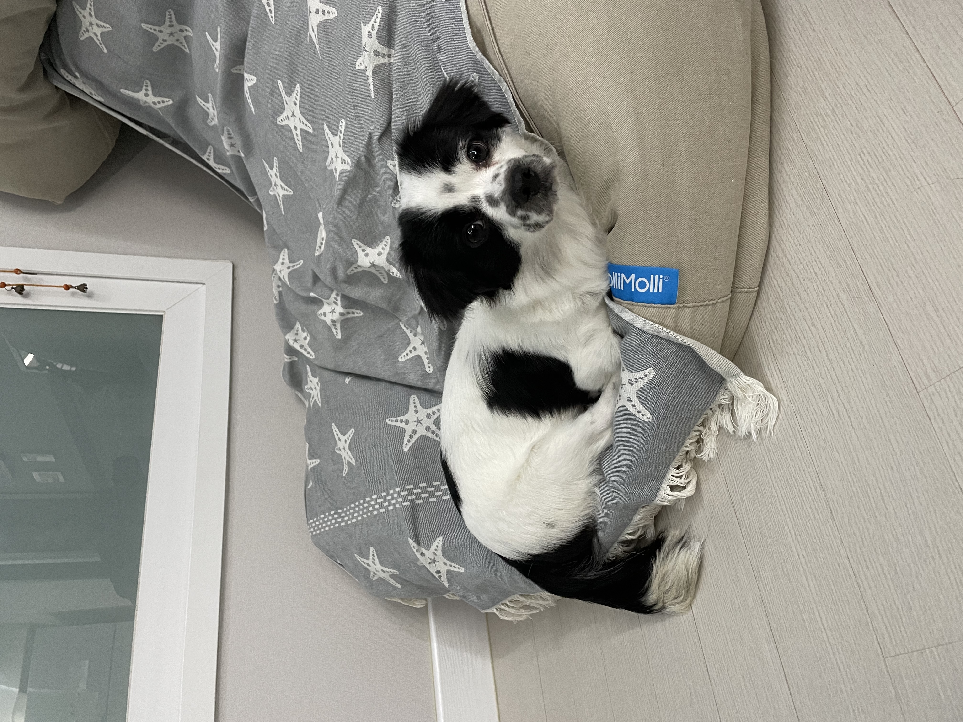 이지(오구) 온 지 3개월이 넘었어요~