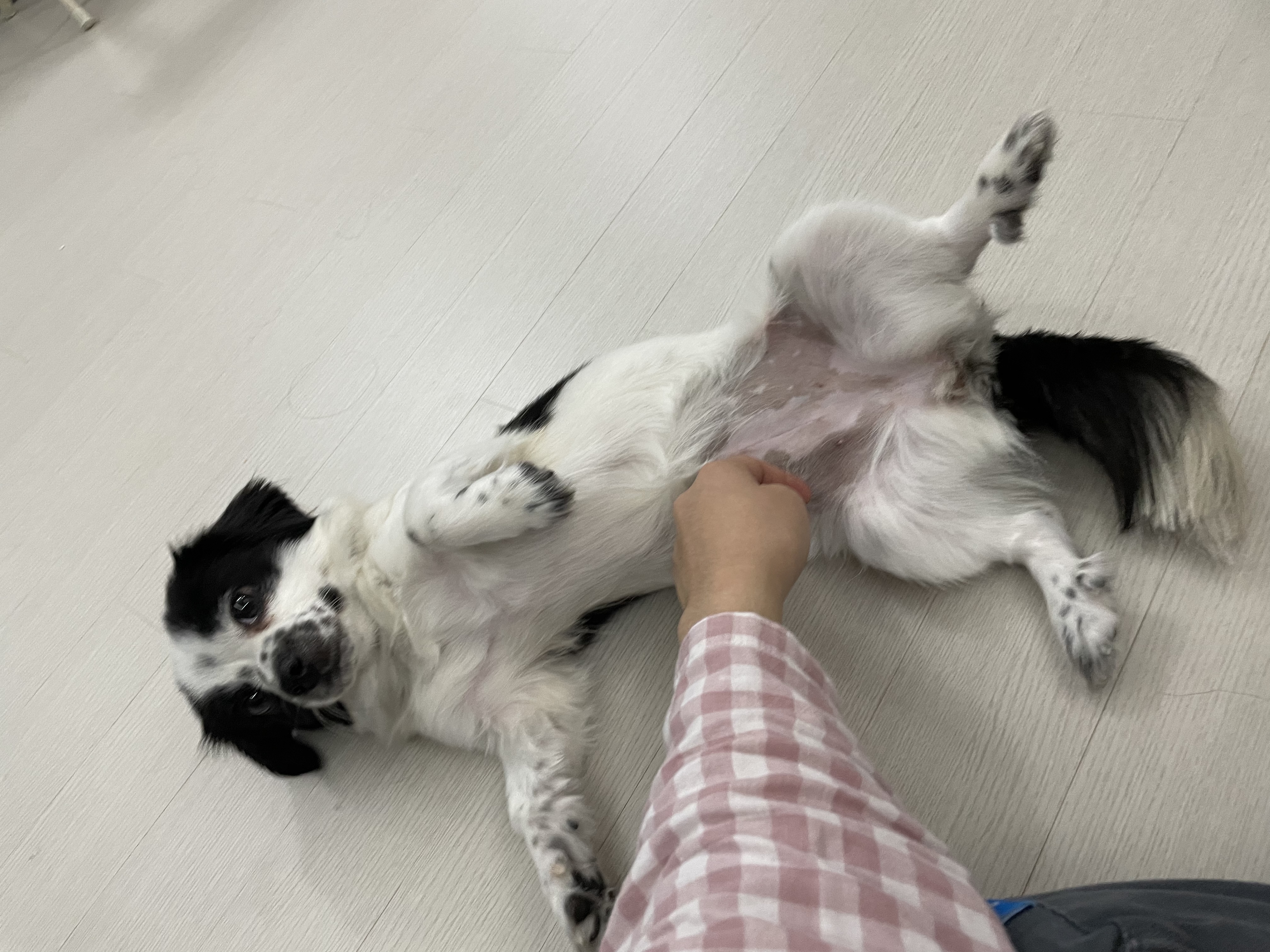 이지(오구) 온 지 3개월이 넘었어요~