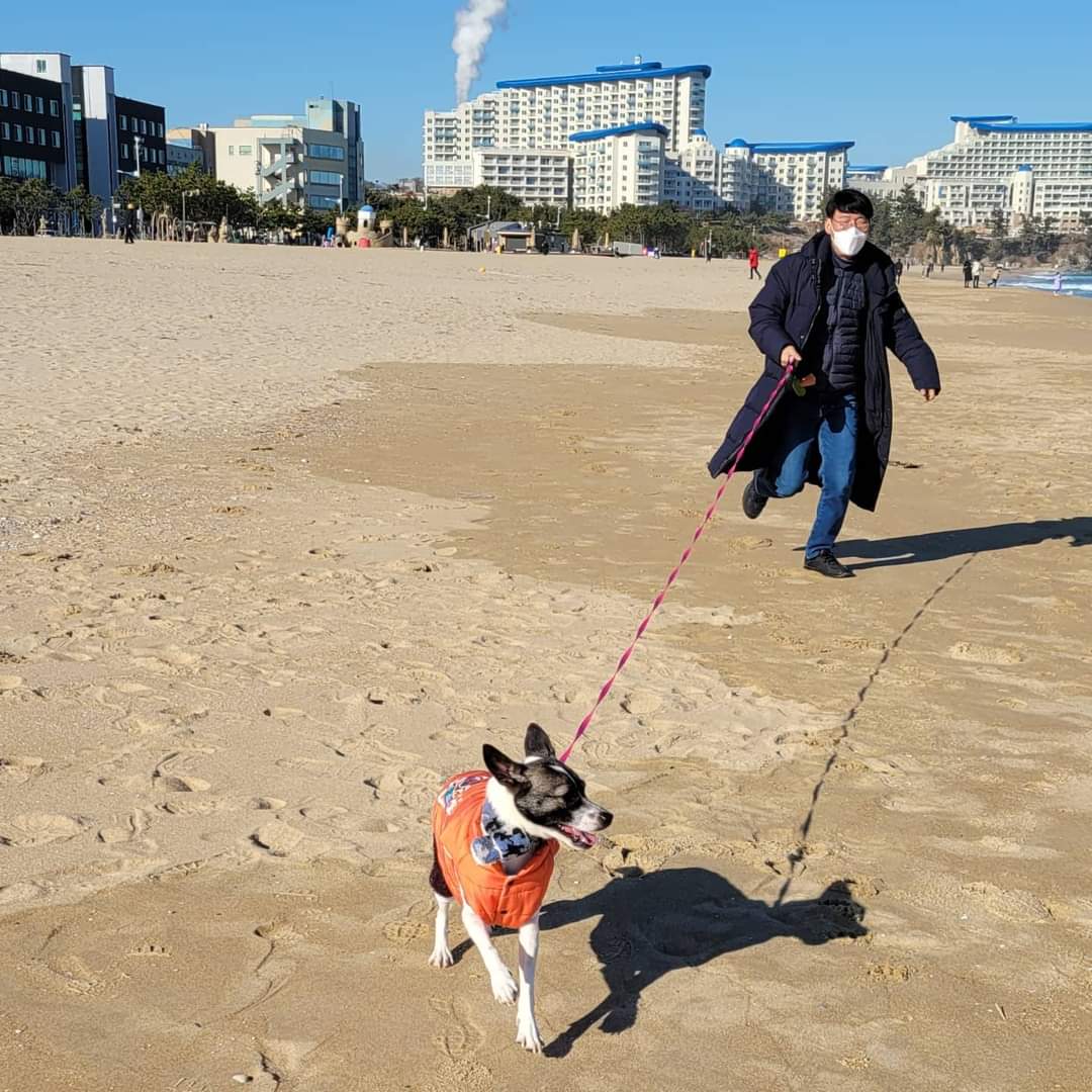 미미와 함께한지 벌써 1년이네요....
