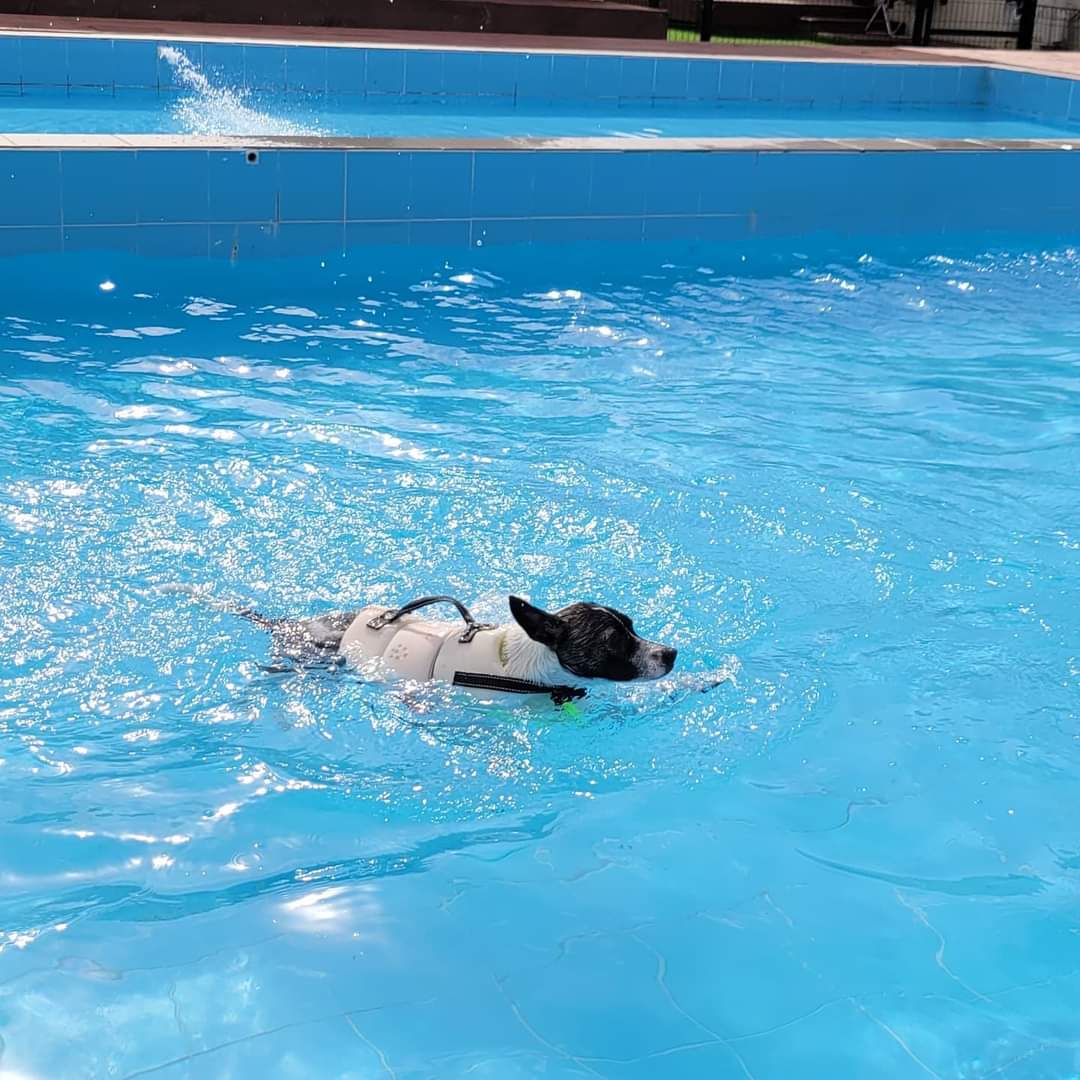 미미와 함께한지 벌써 1년이네요....