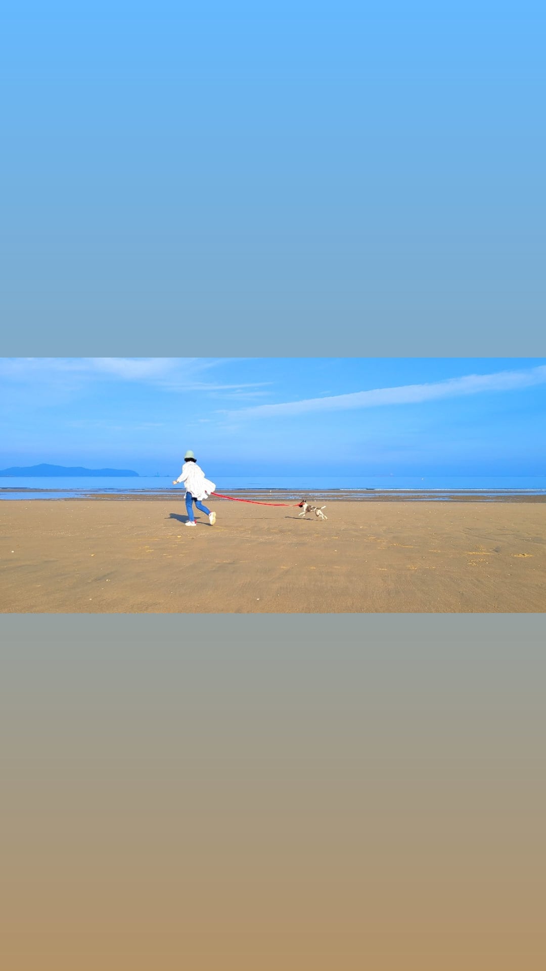 미미와 함께한지 벌써 1년이네요....