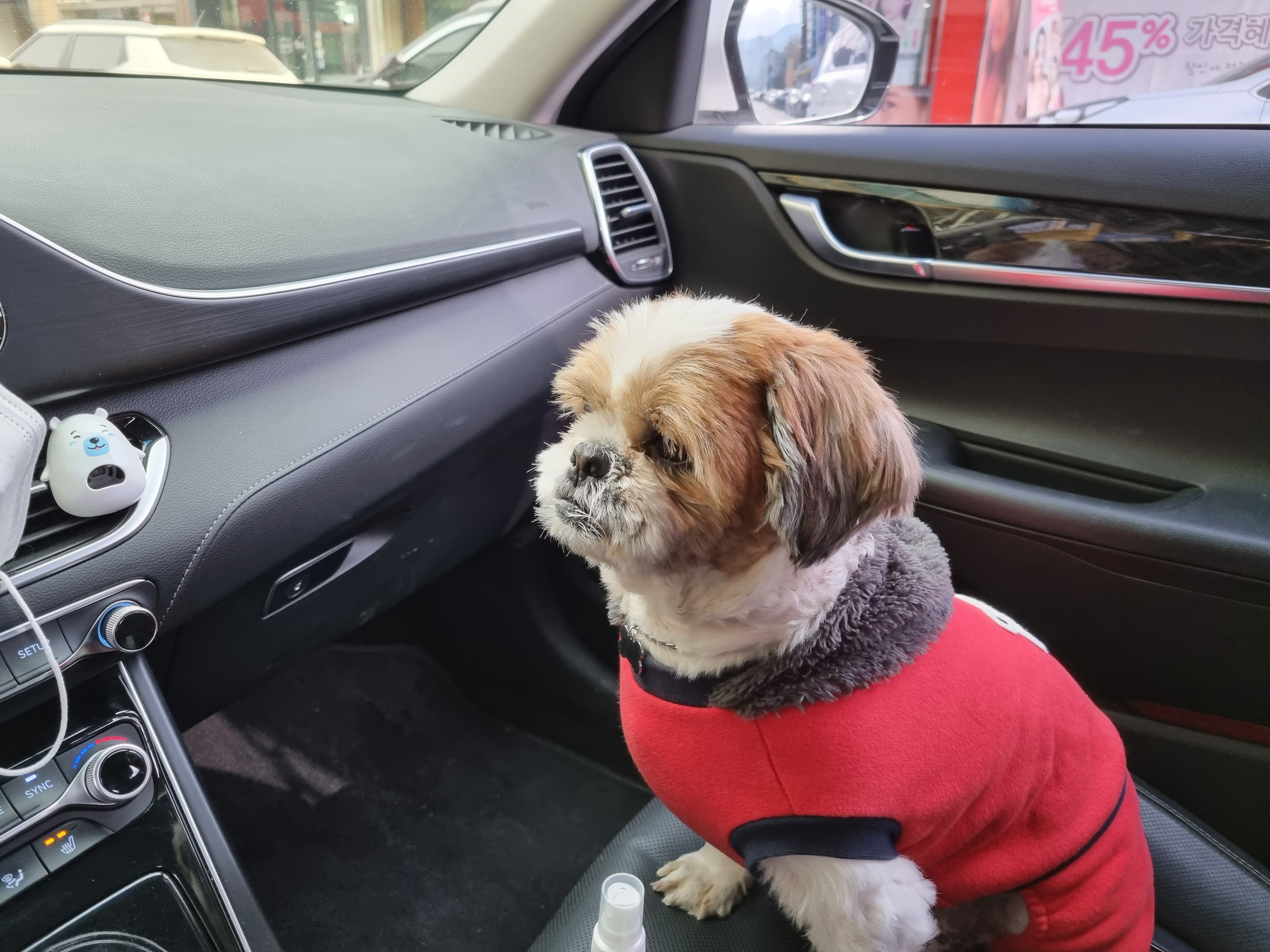 포동이의 드라이브