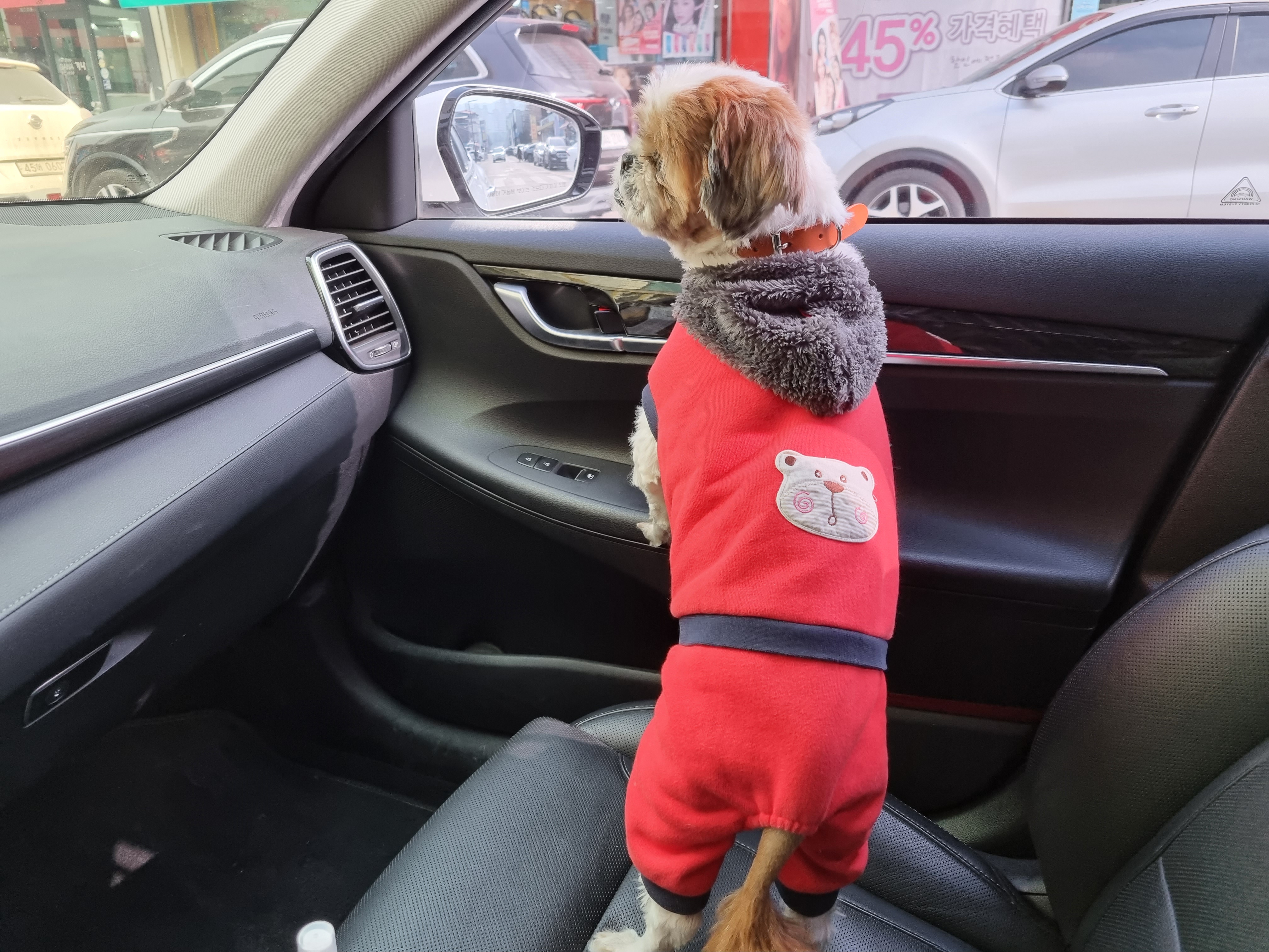 포동이의 드라이브