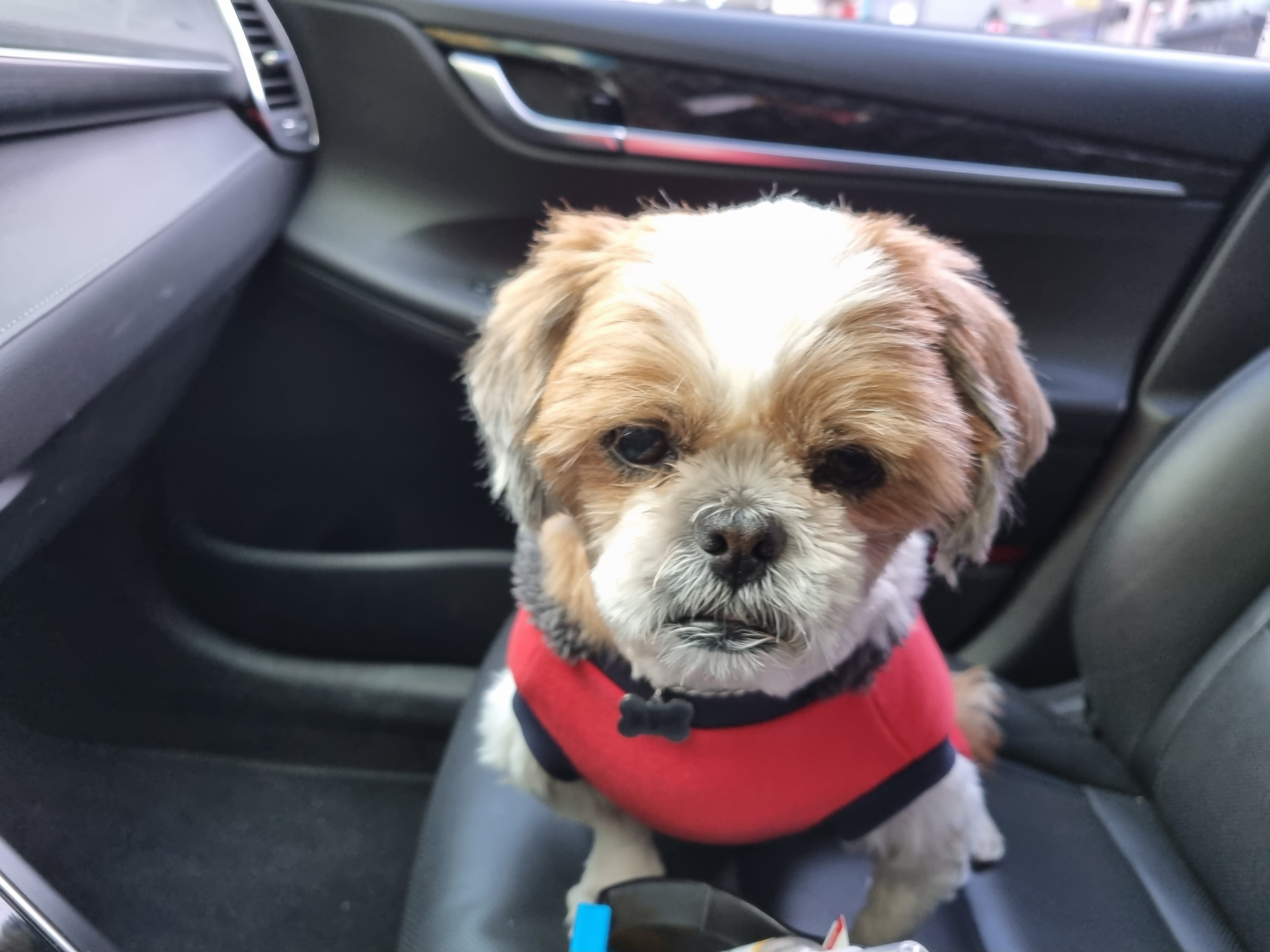 포동이의 드라이브