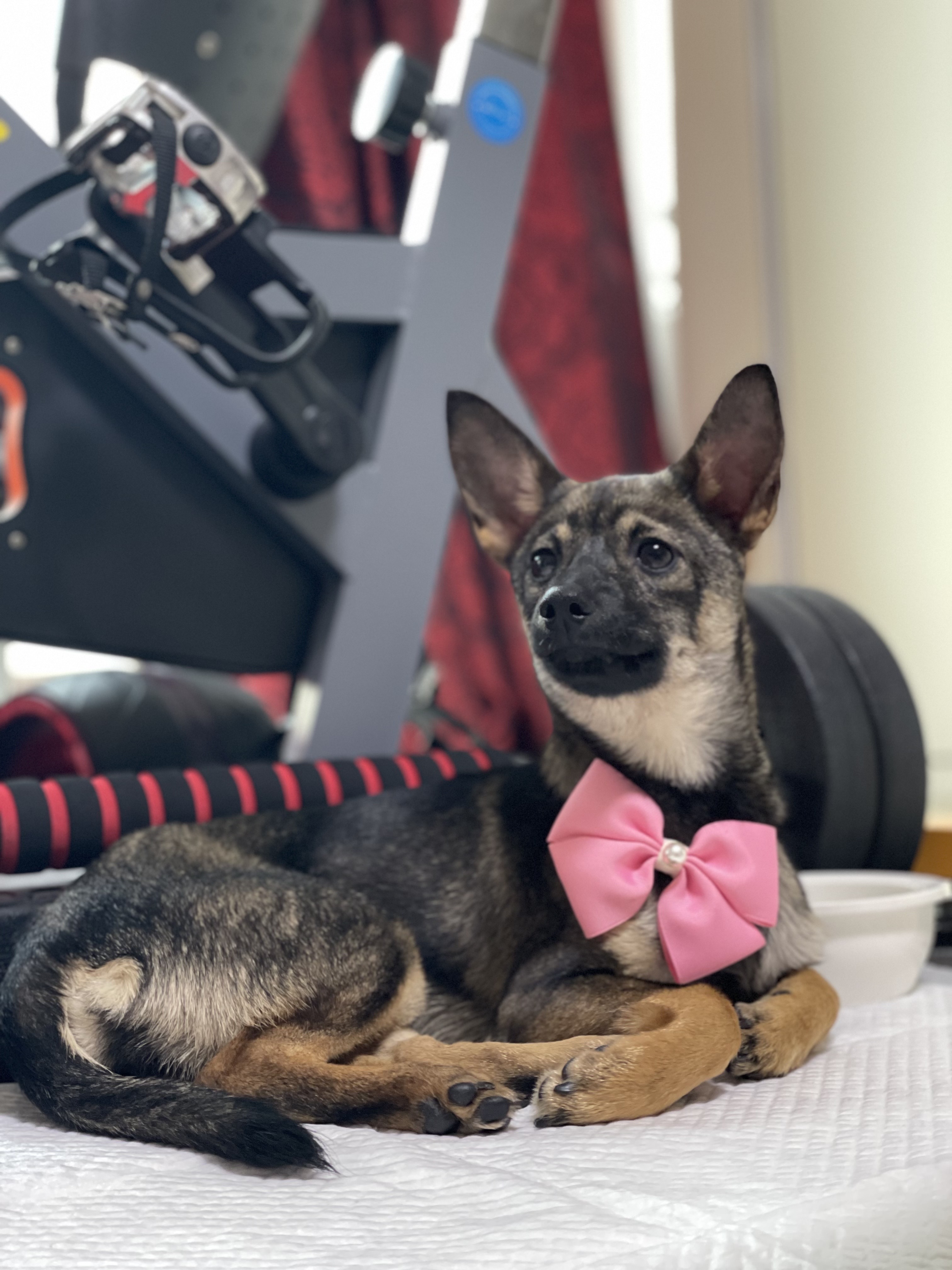 베러와의 일주일