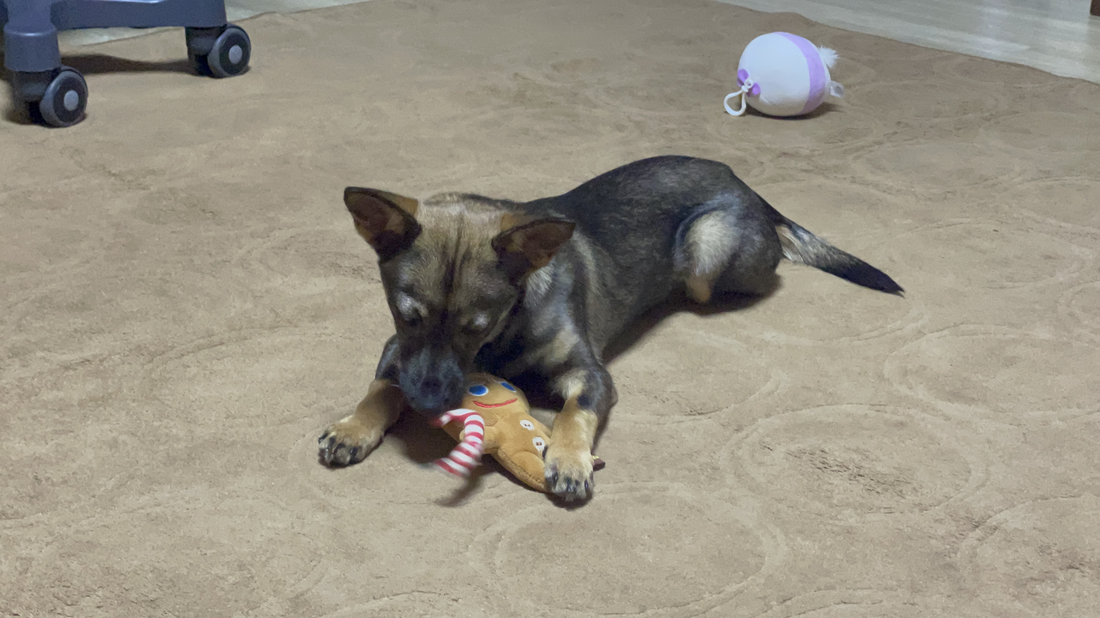 베러와의 일주일