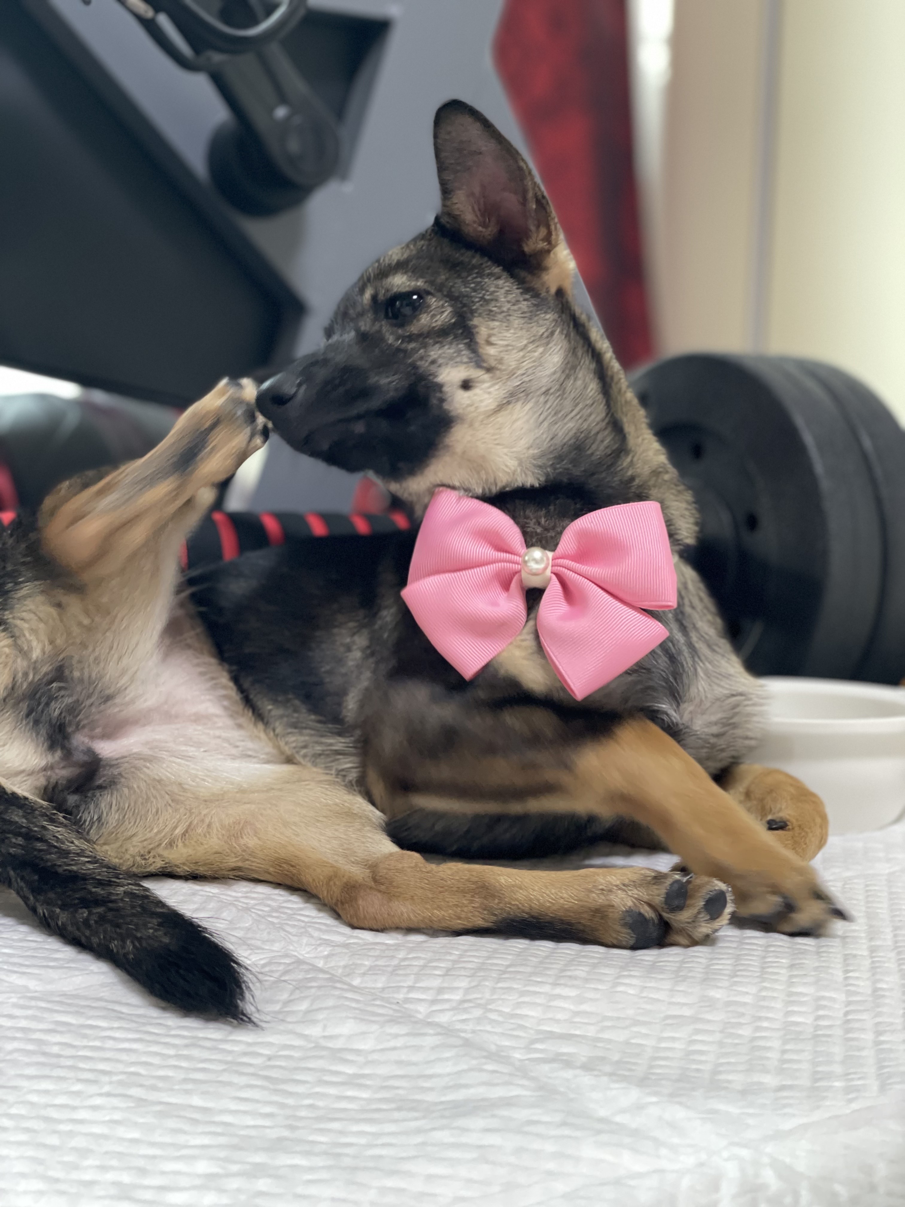 베러와의 일주일