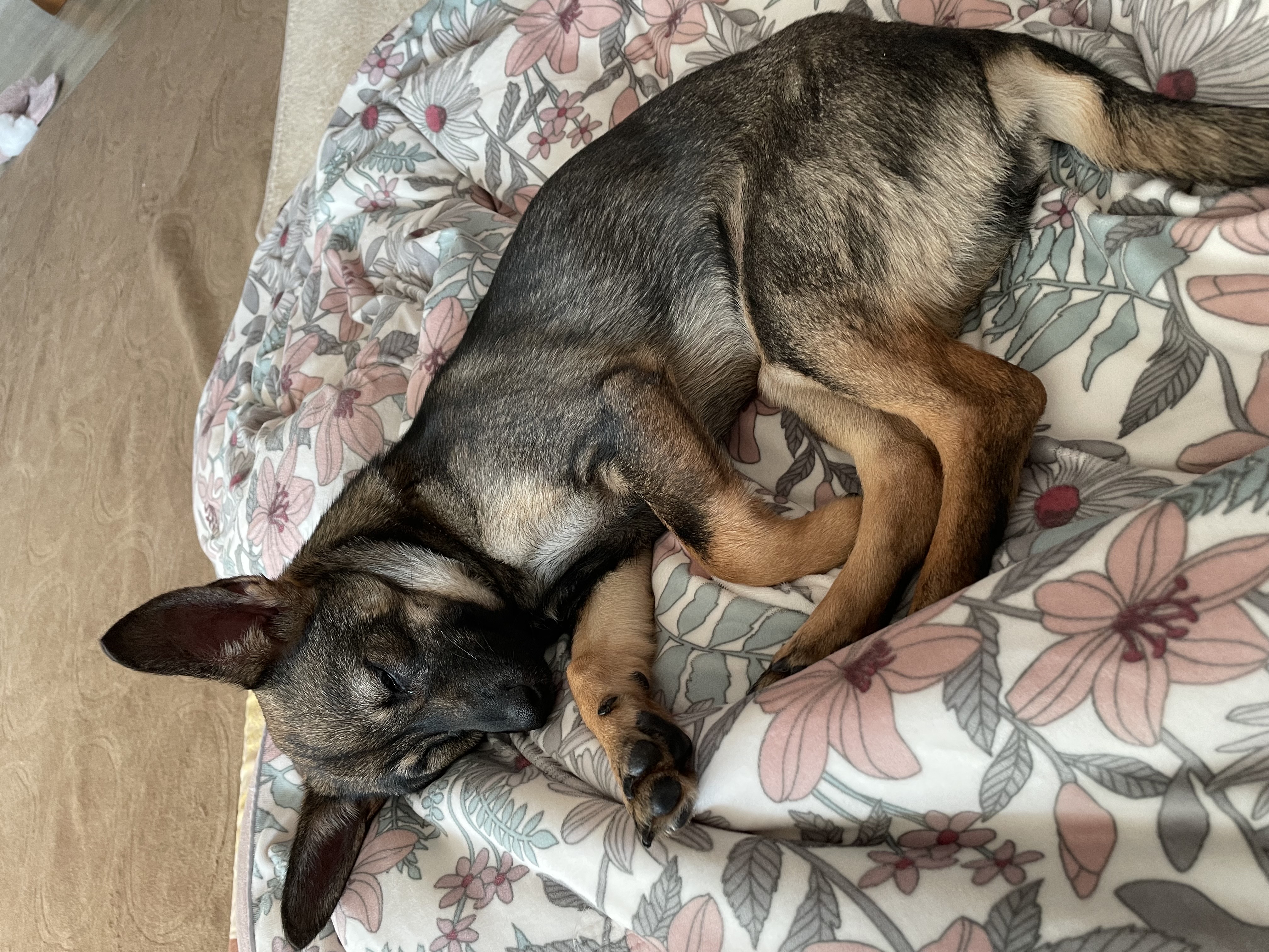 베러와의 일주일