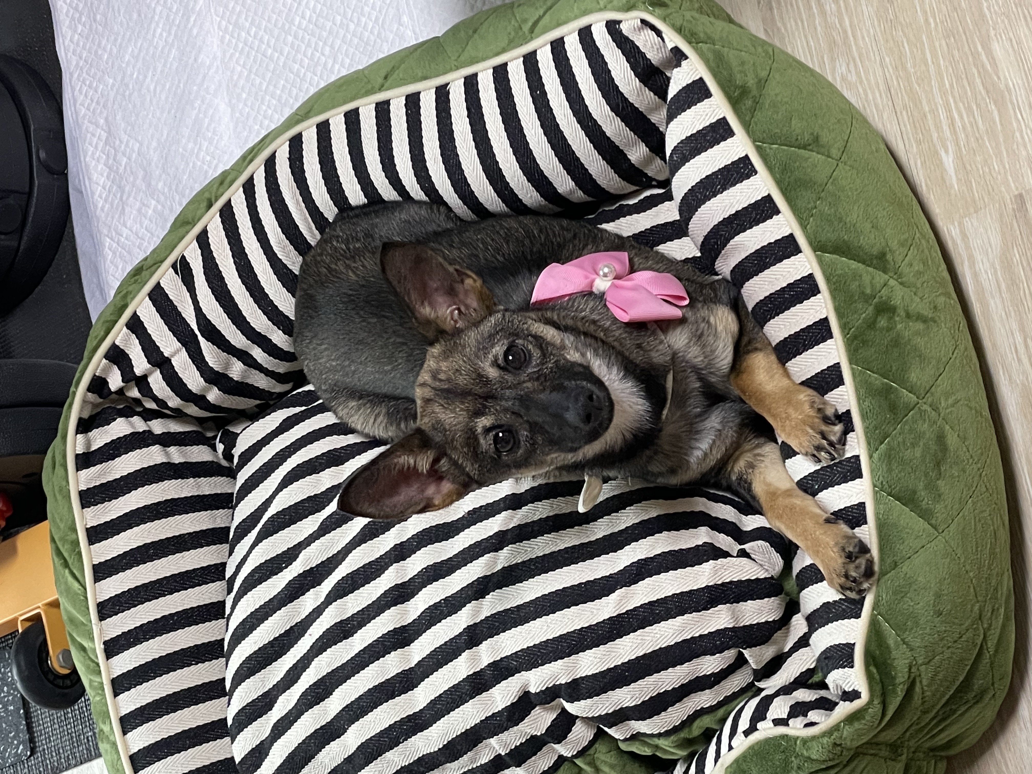 베러와의 일주일