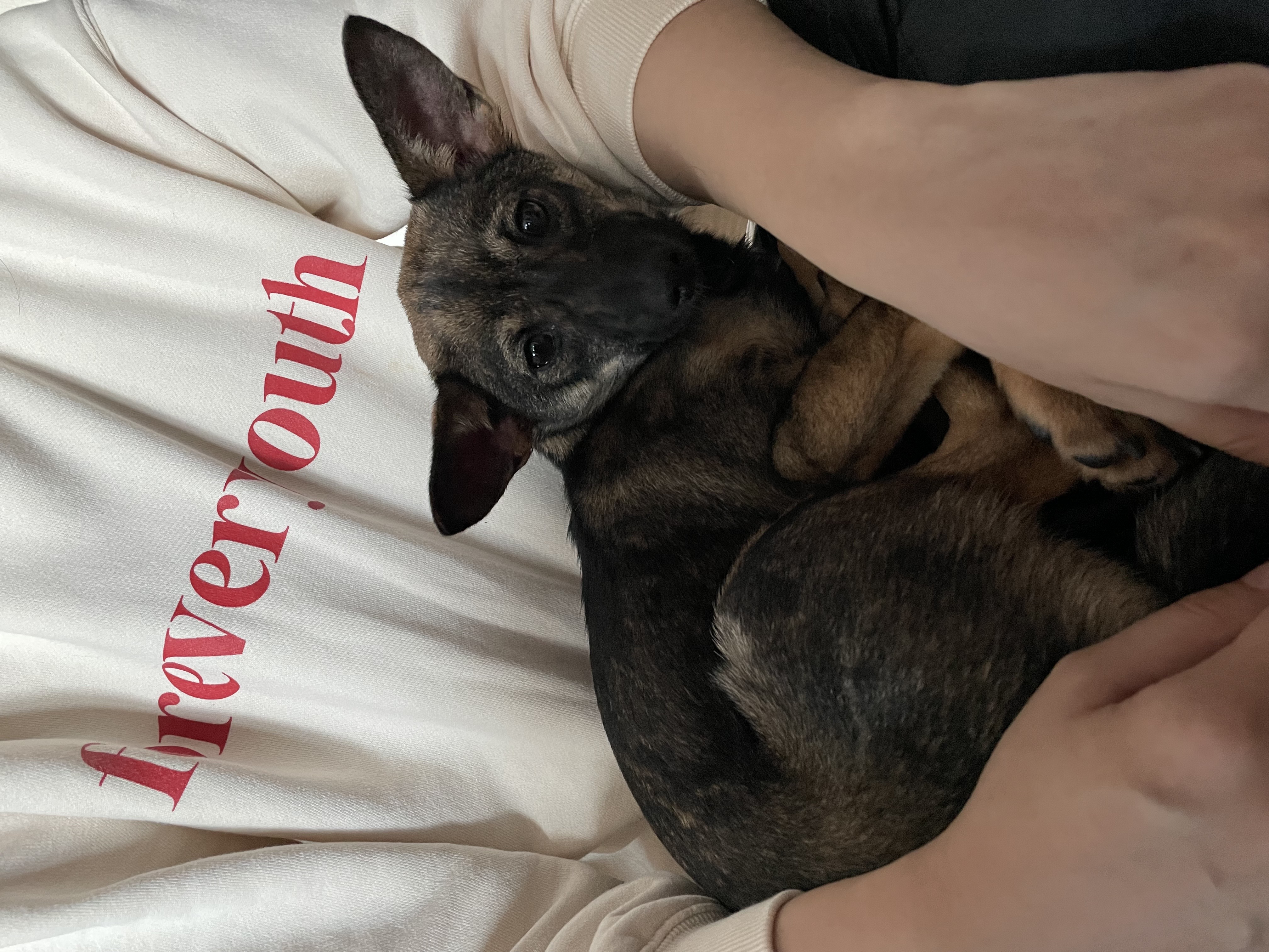 베러와의 일주일