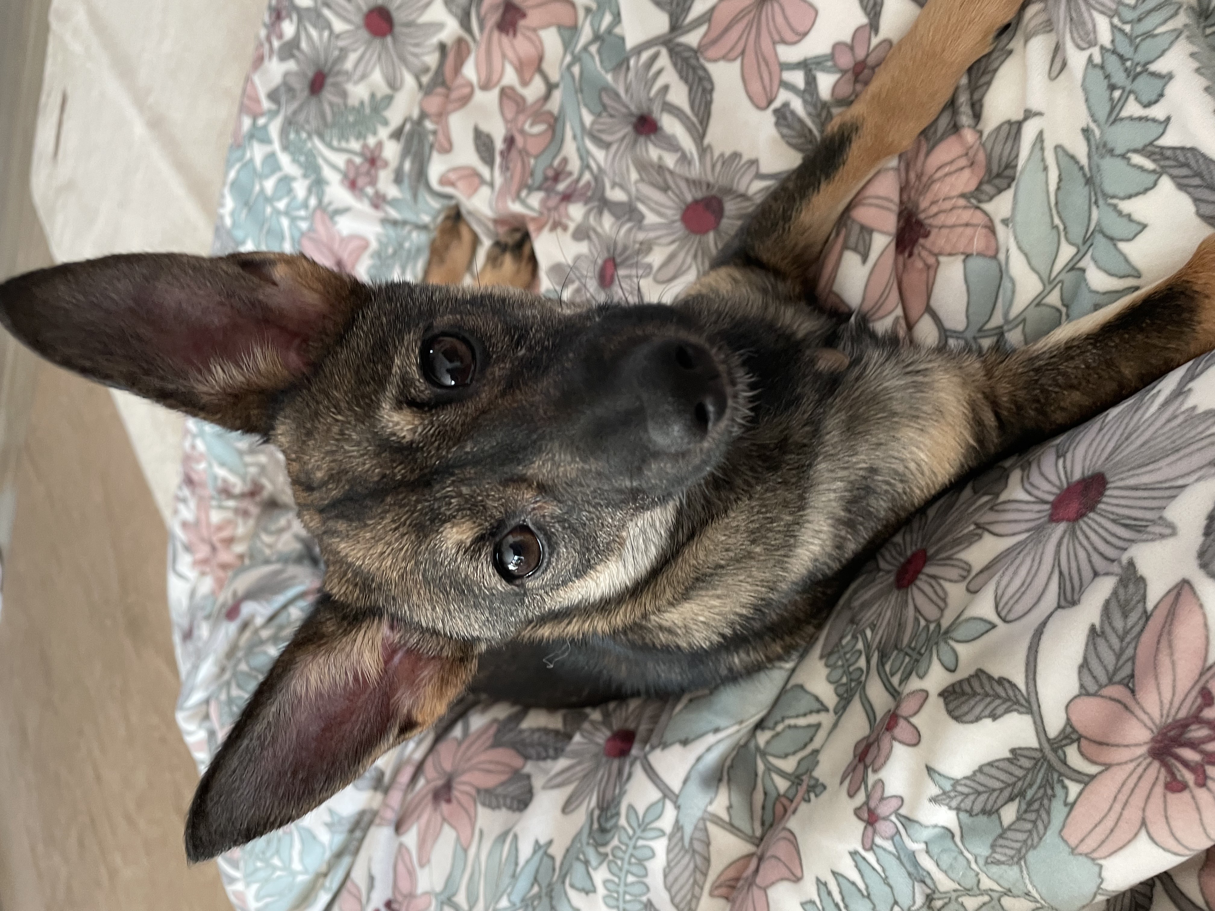 베러와의 일주일