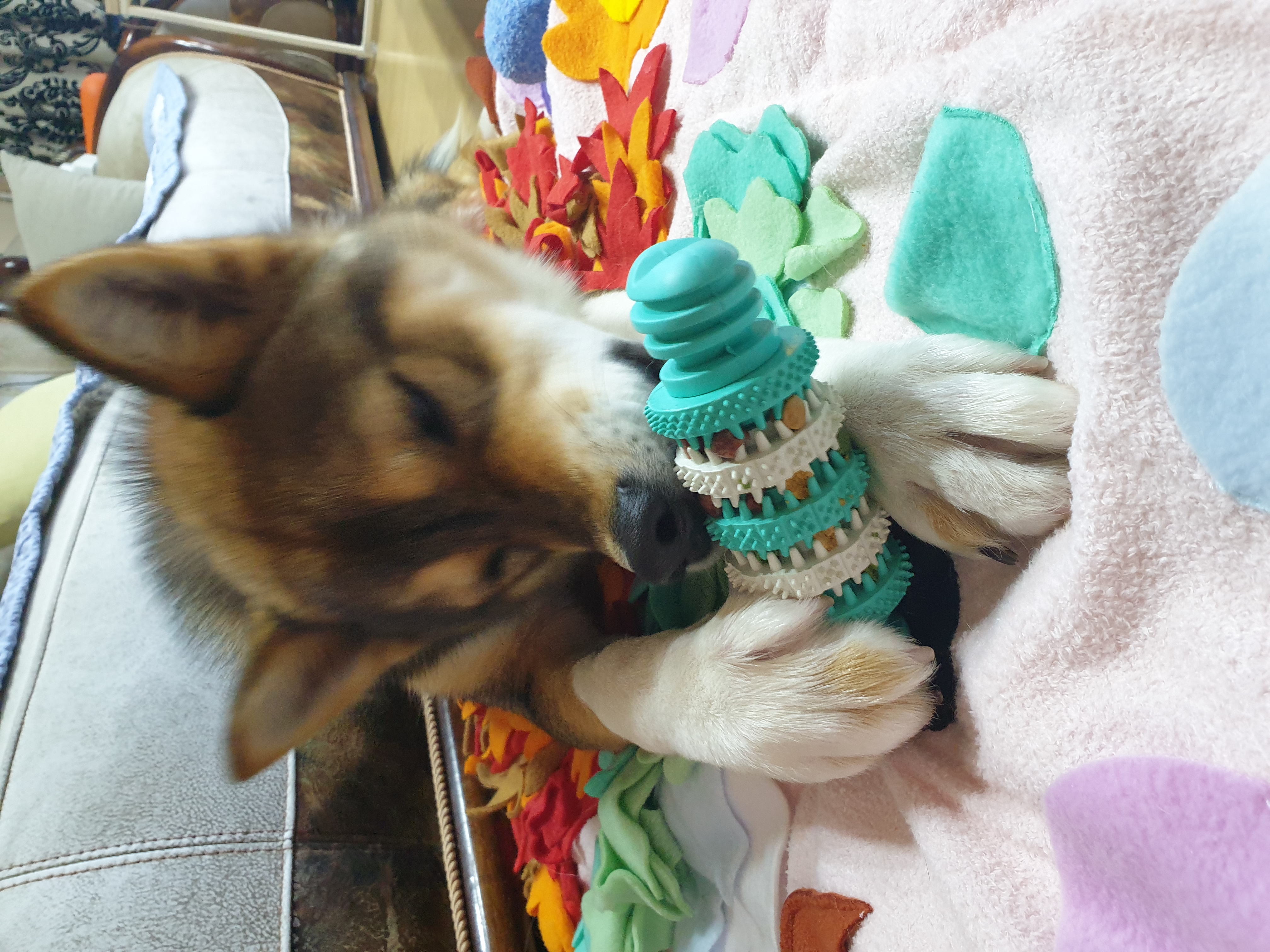 하다네 집(일주일)