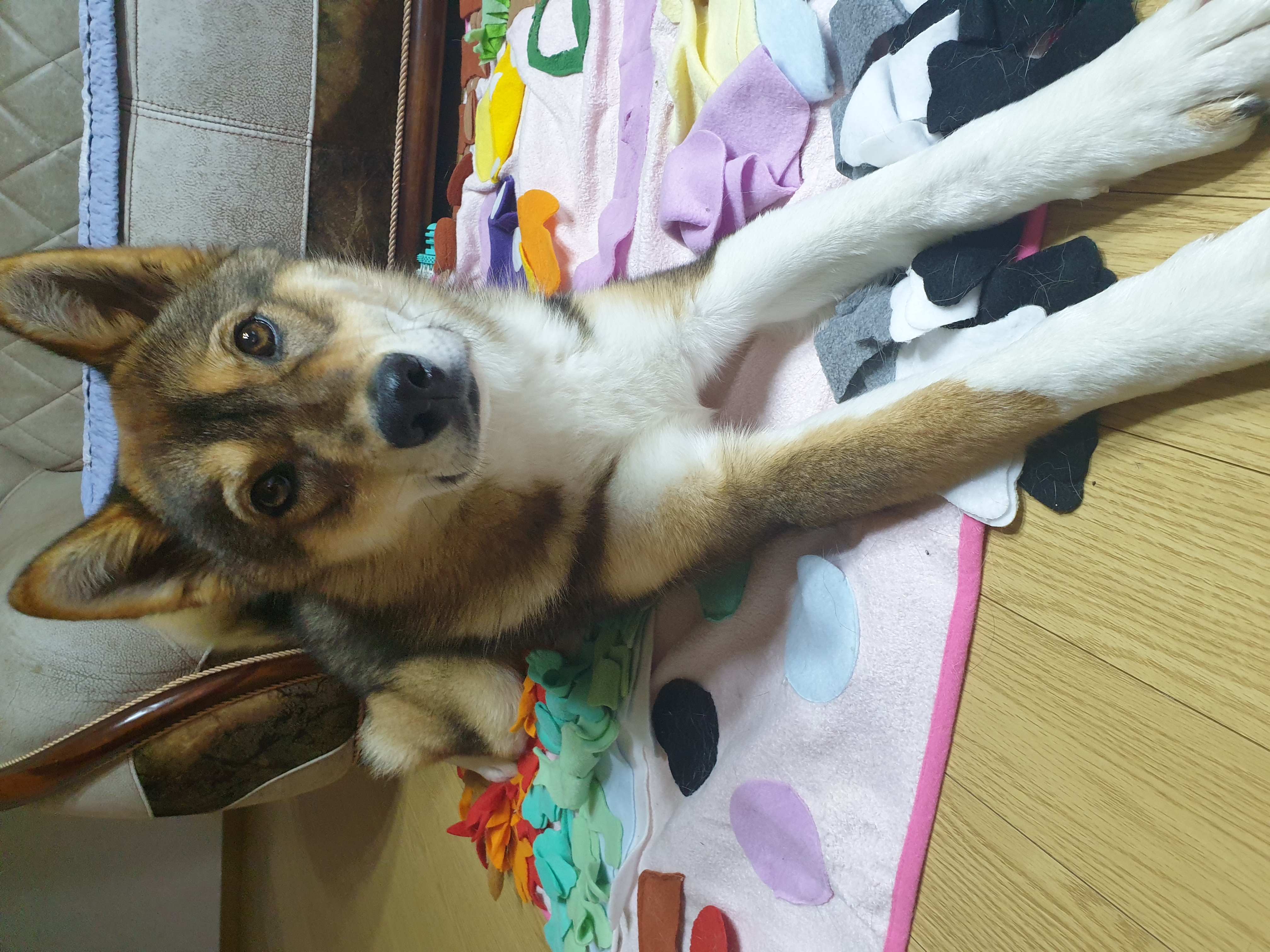 하다네 집(일주일)