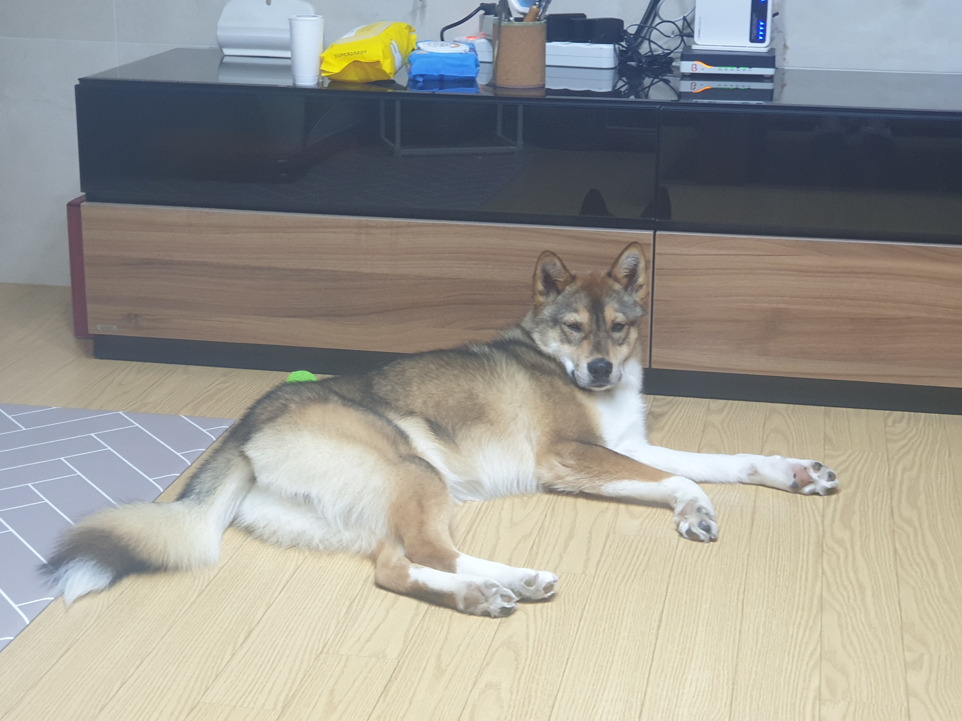 하다네 집(일주일)