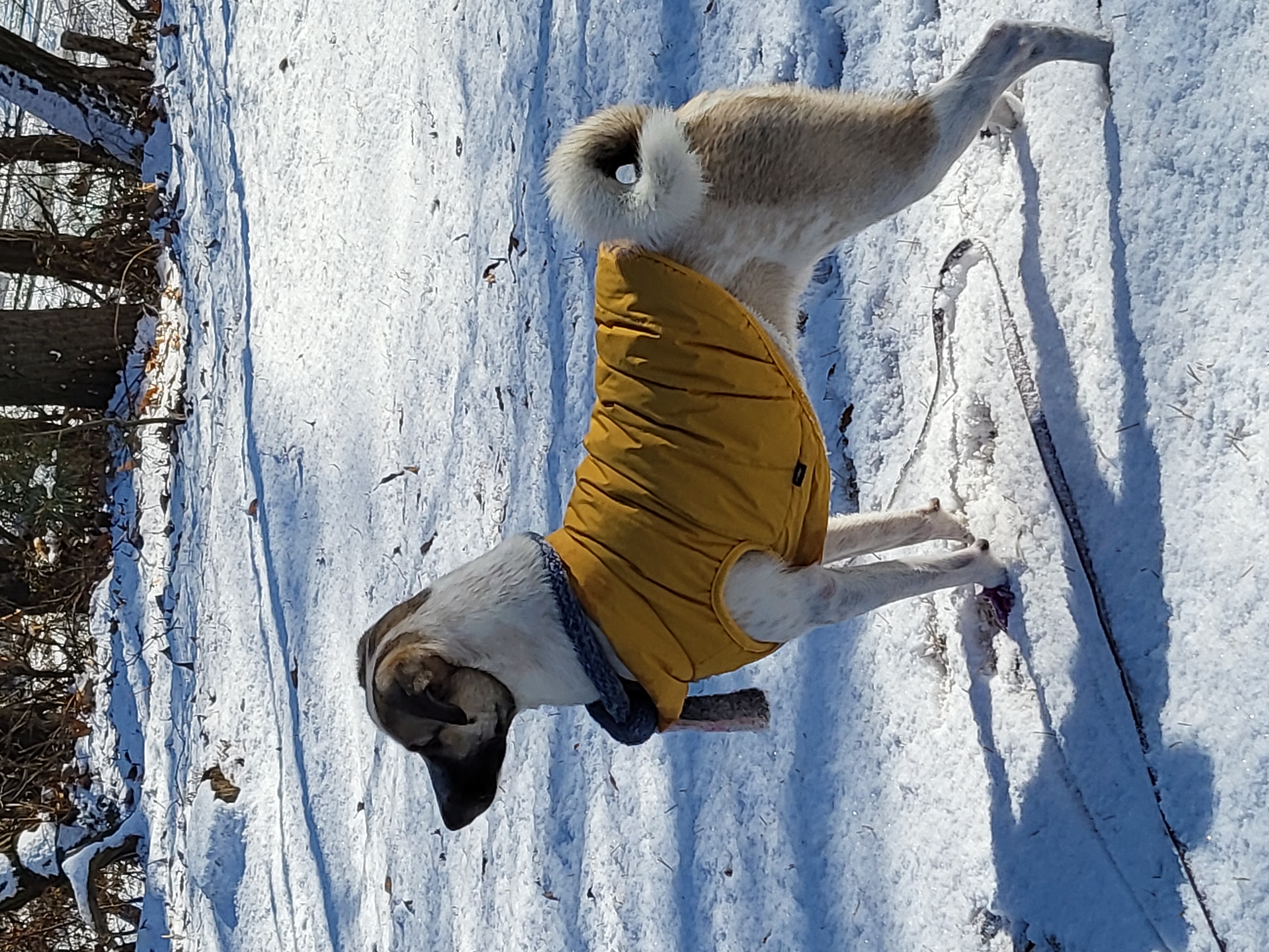 레레&파파(빵야&아띠) 1년😍