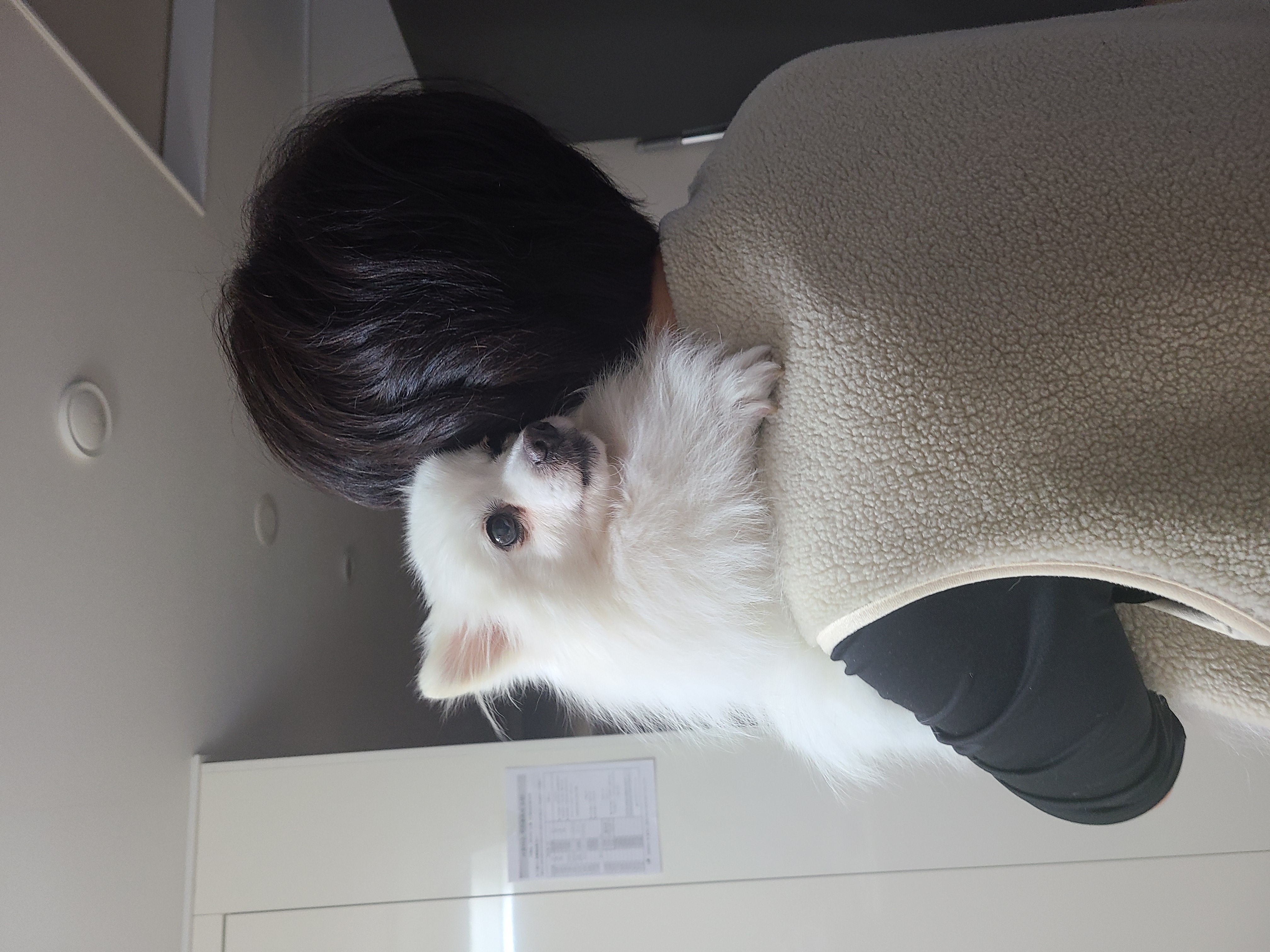 단비 (곤지암 포동이) 벌써 한달이 넘었어요~