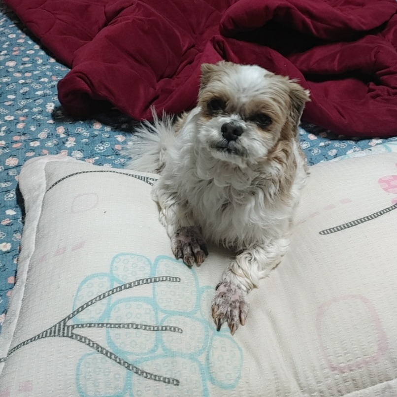 오리가 온지 한달이 넘었어요~