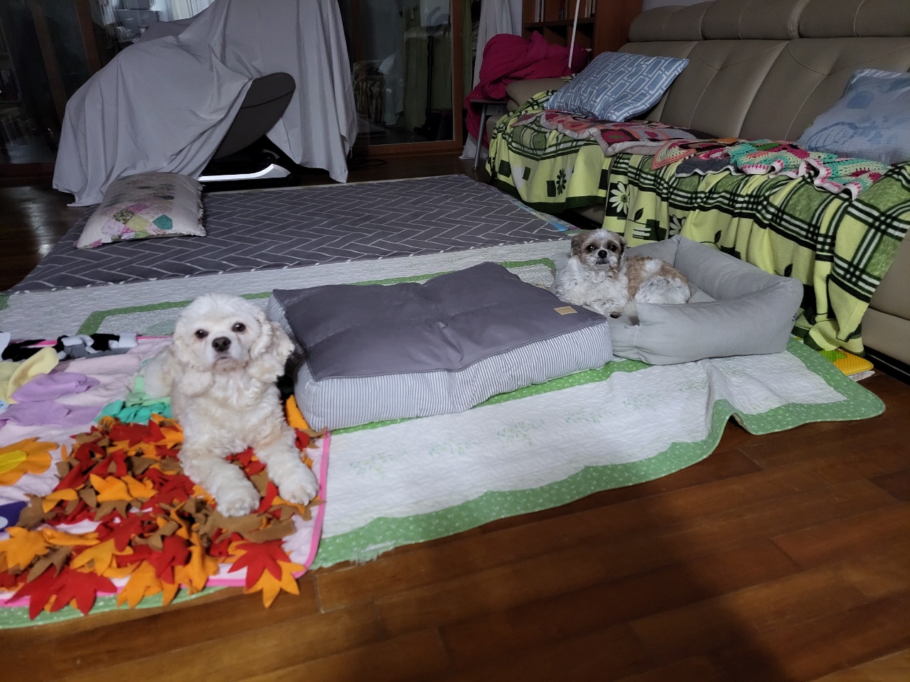 오리가 온지 한달이 넘었어요~